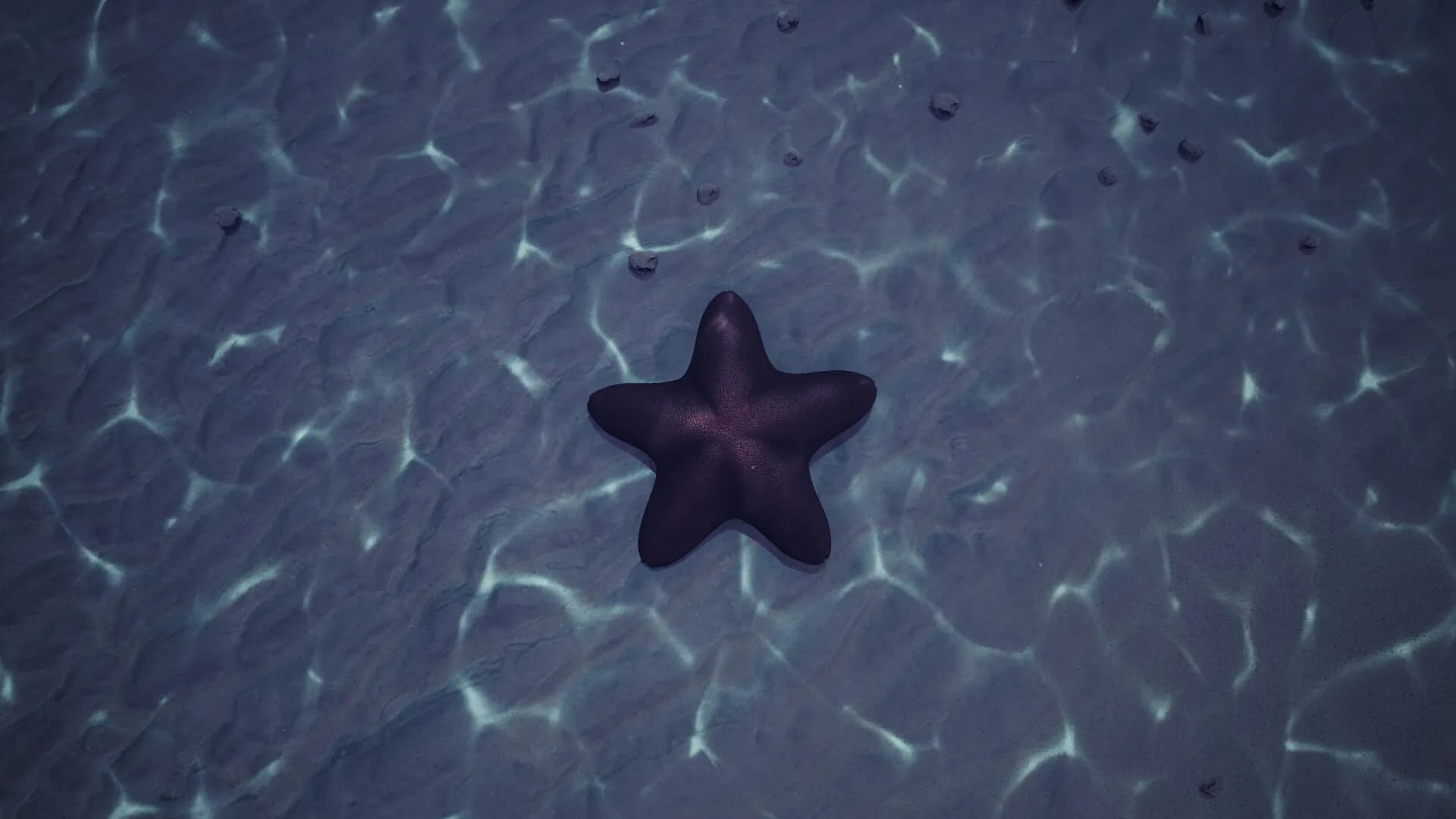 Starfish Simulator 👍 görsel 11