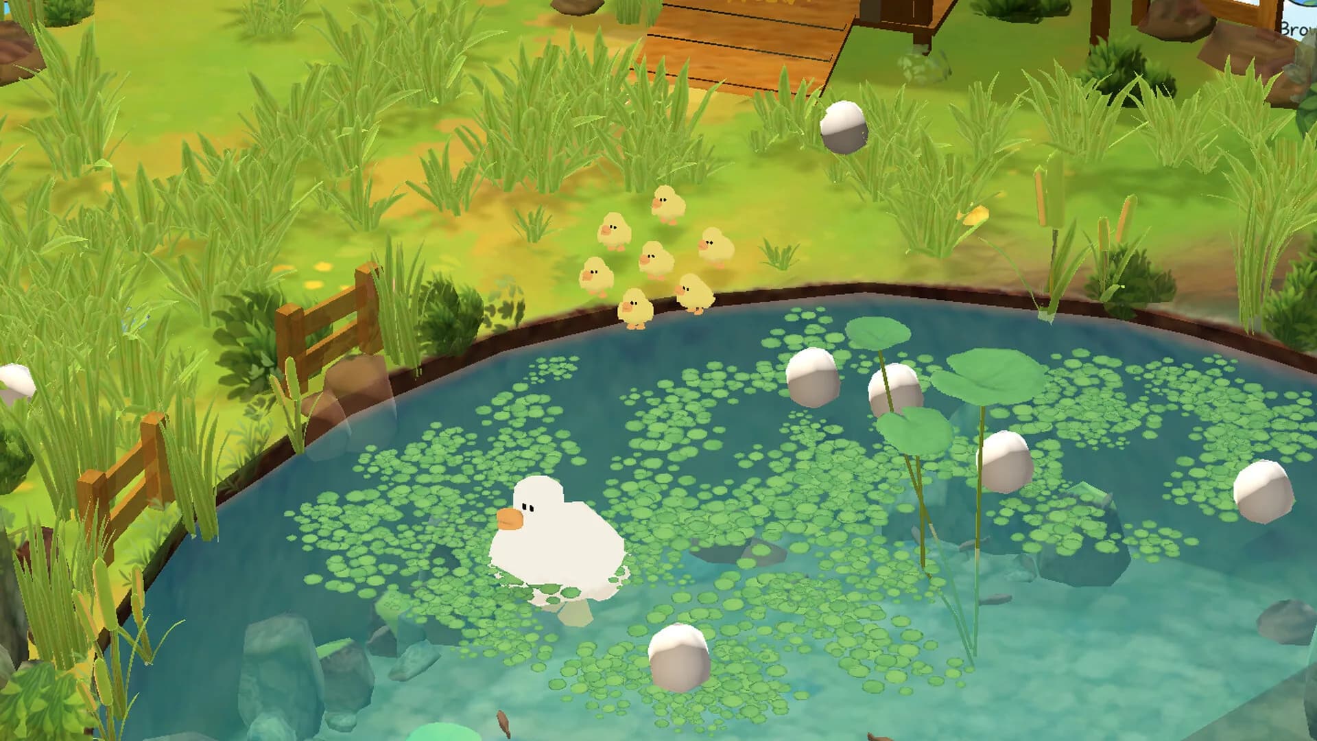 Hello Duck görsel 8