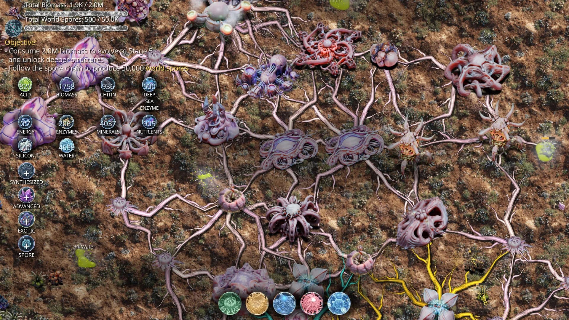 Mycelium Conquest görsel 2
