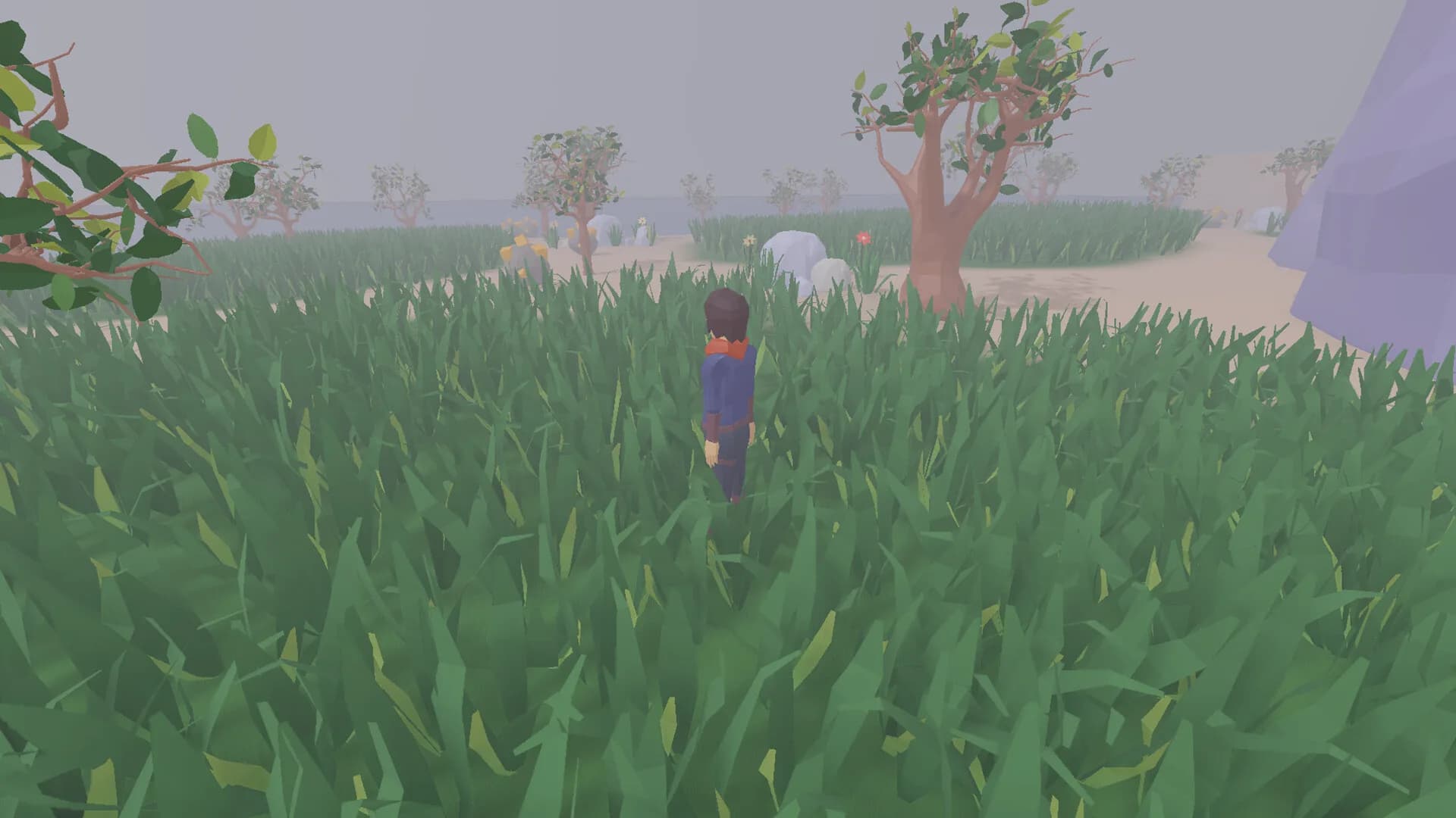 desert island time görsel 3