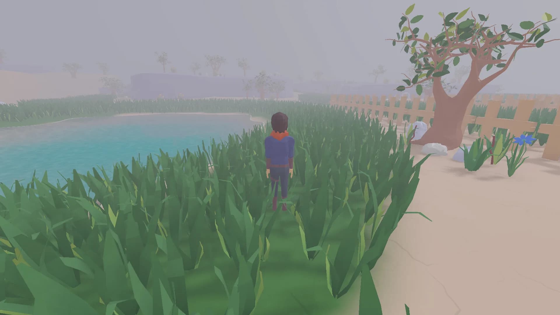 desert island time görsel 4