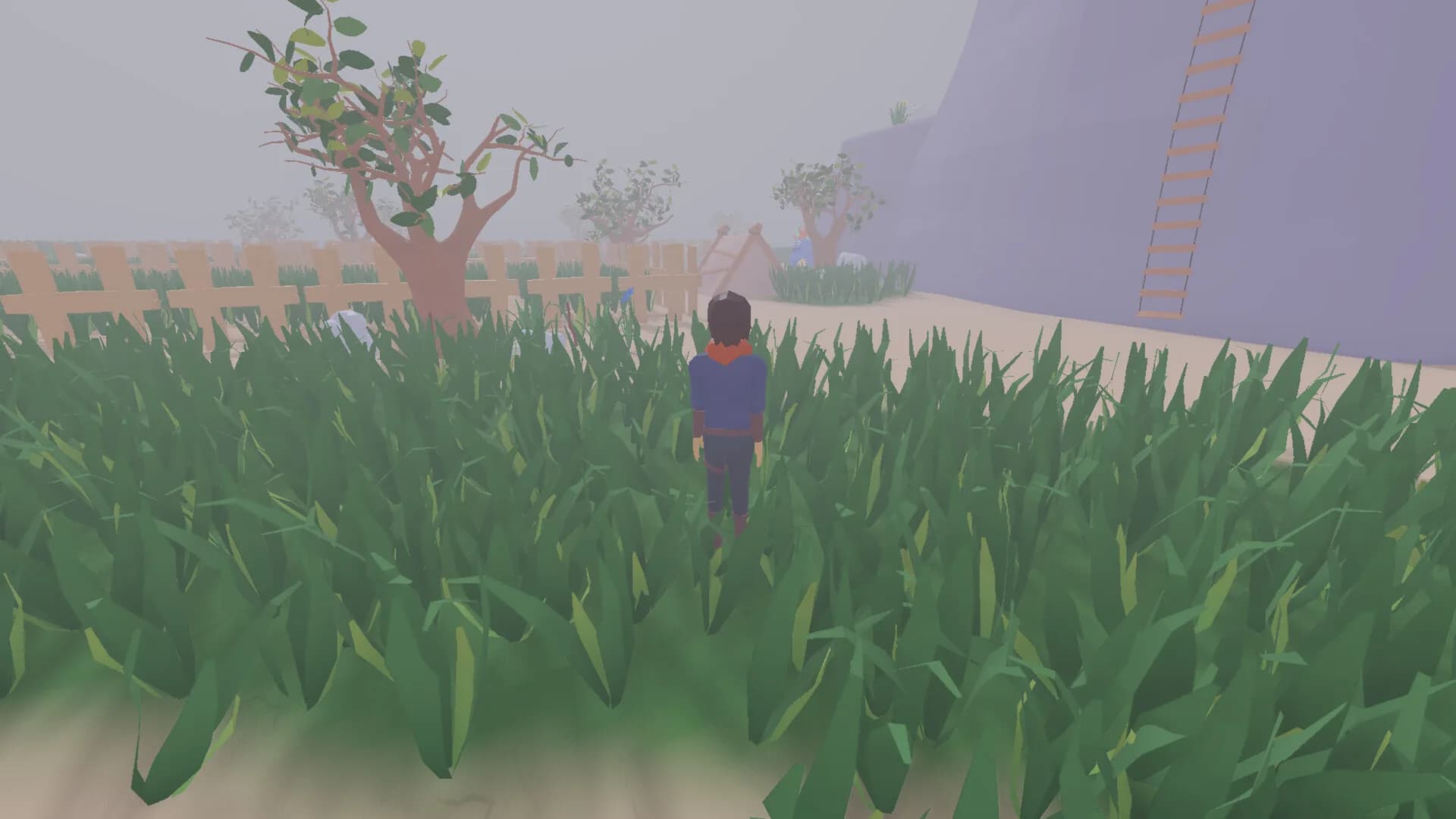 desert island time görsel 9