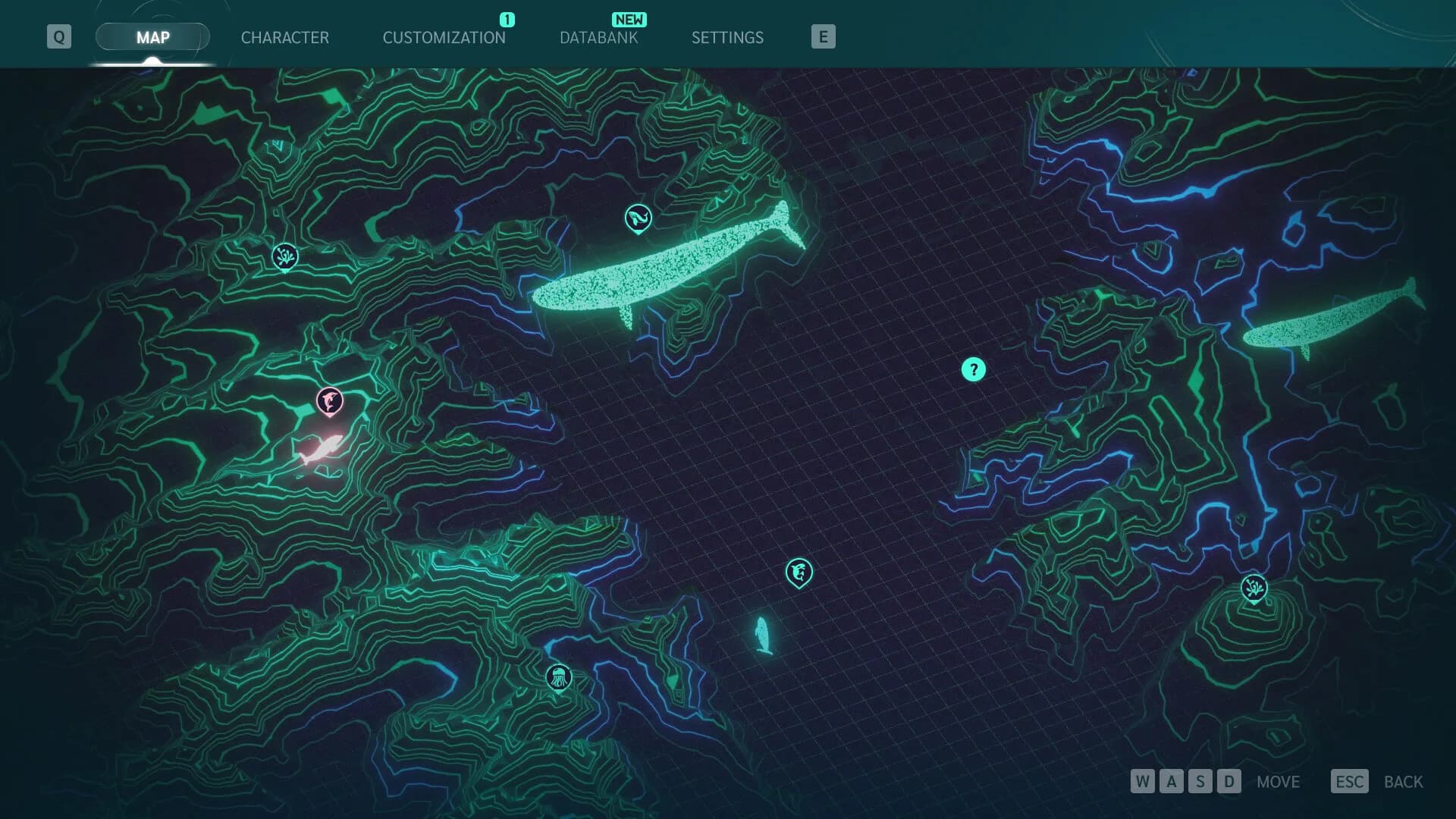 Echo: The dolphin story görsel 2