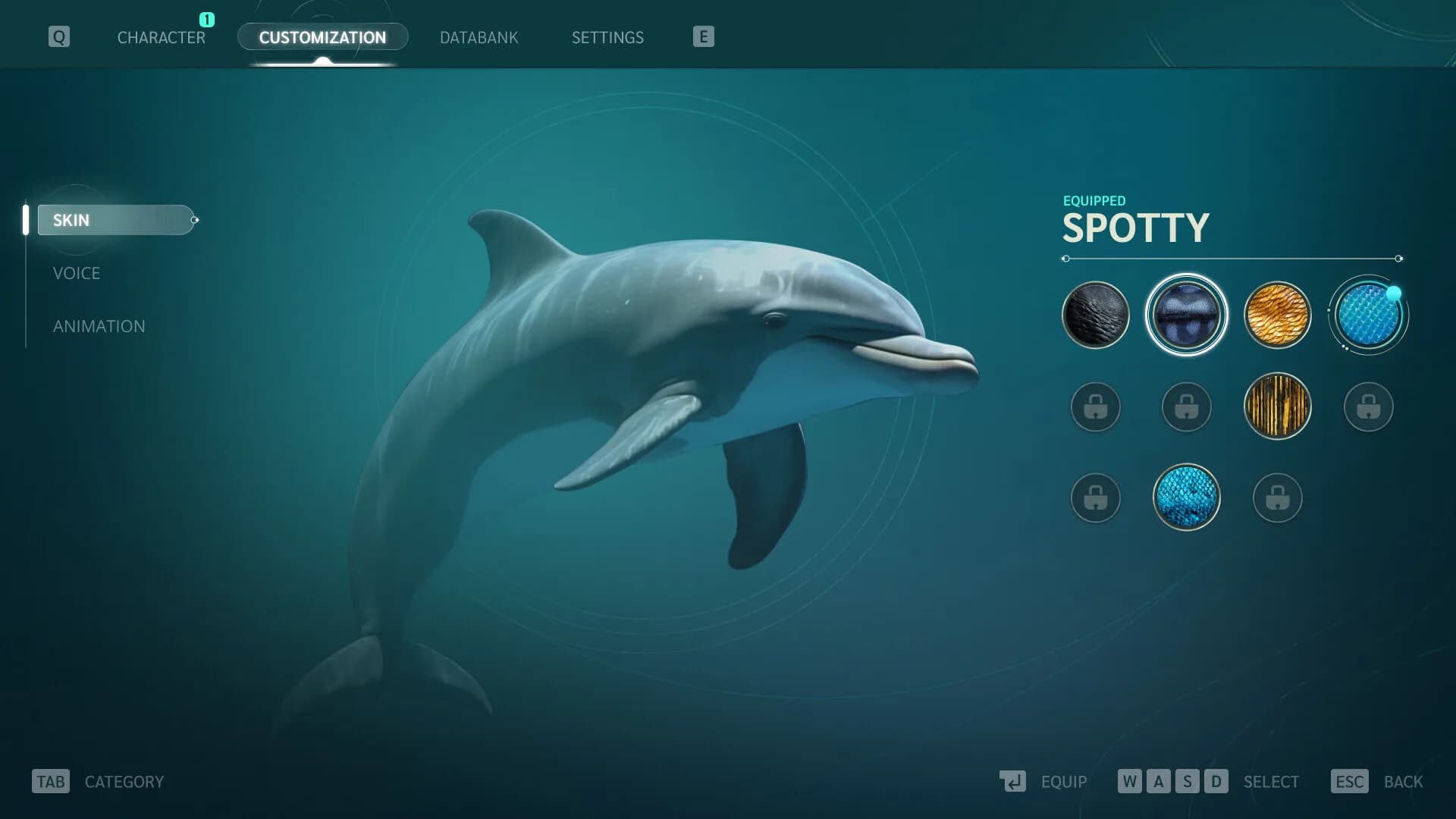 Echo: The dolphin story görsel 4