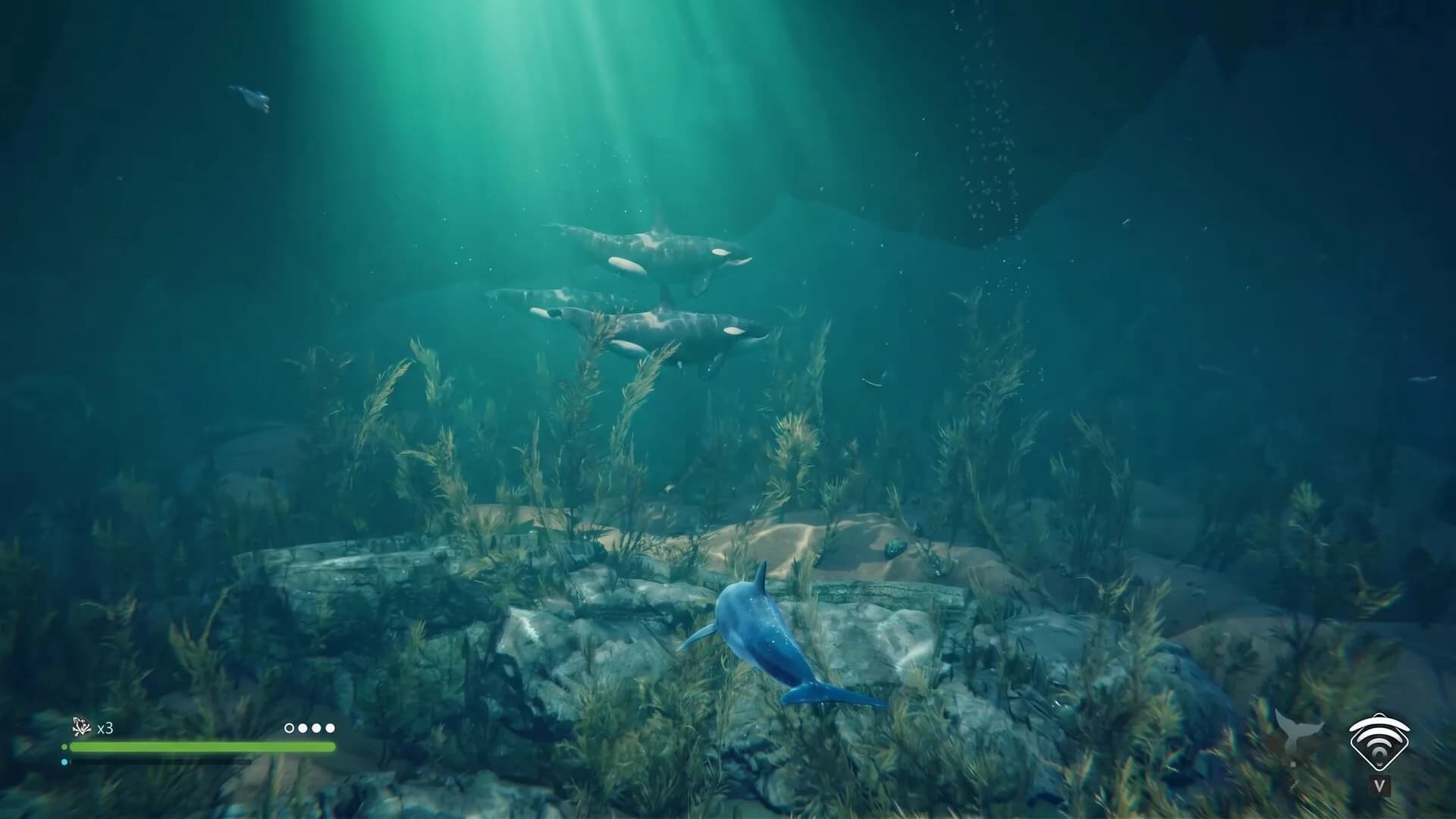 Echo: The dolphin story görsel 6