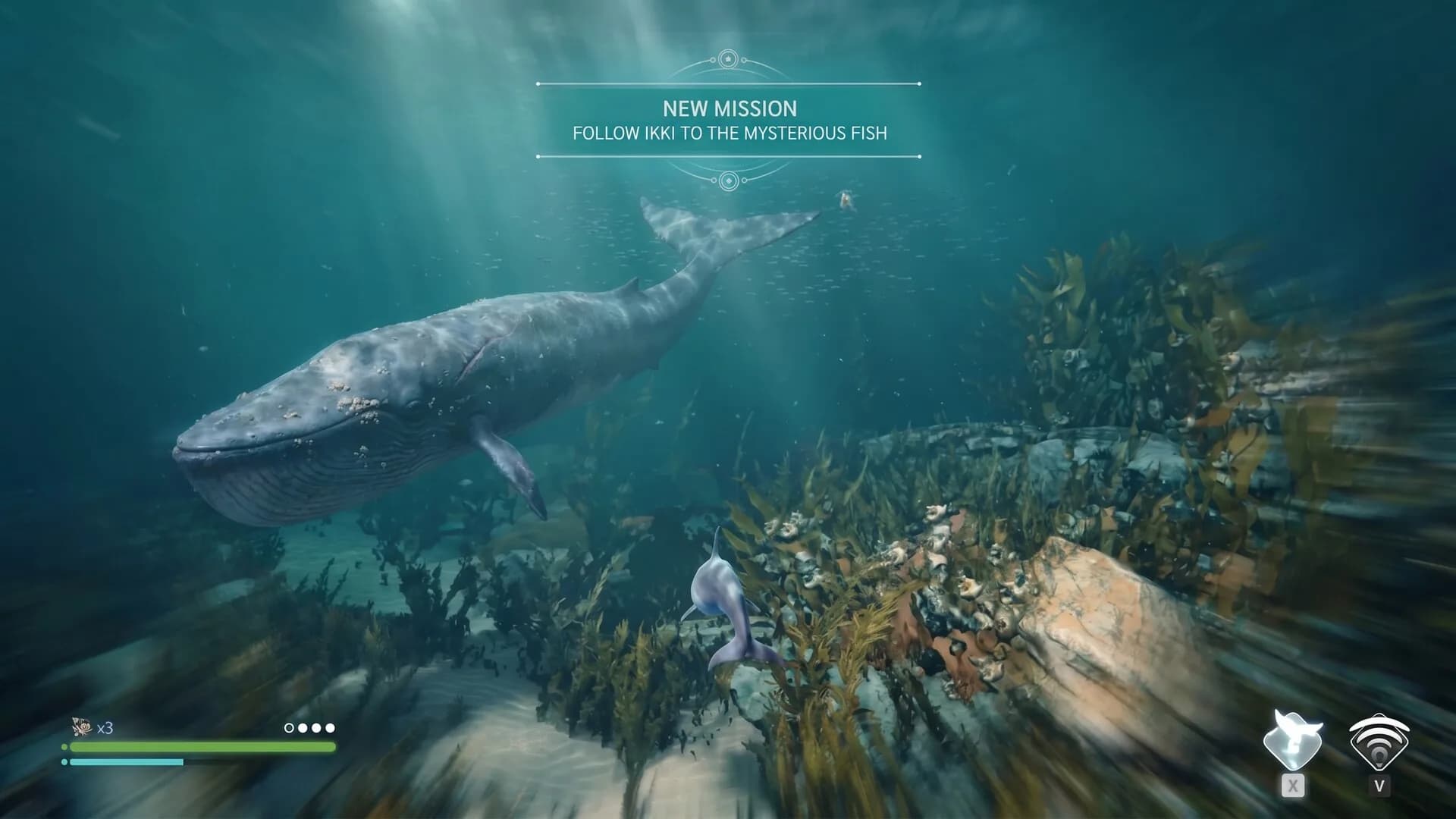 Echo: The dolphin story görsel 7