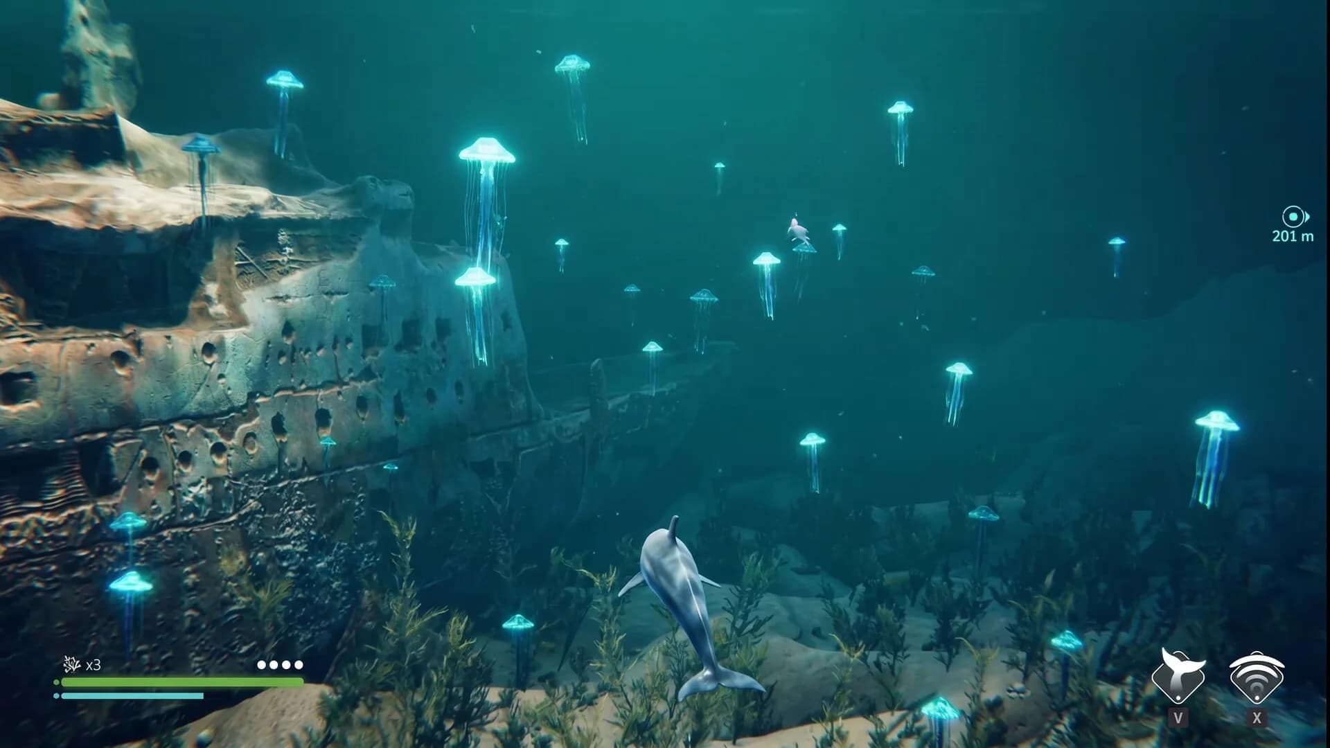 Echo: The dolphin story görsel 8