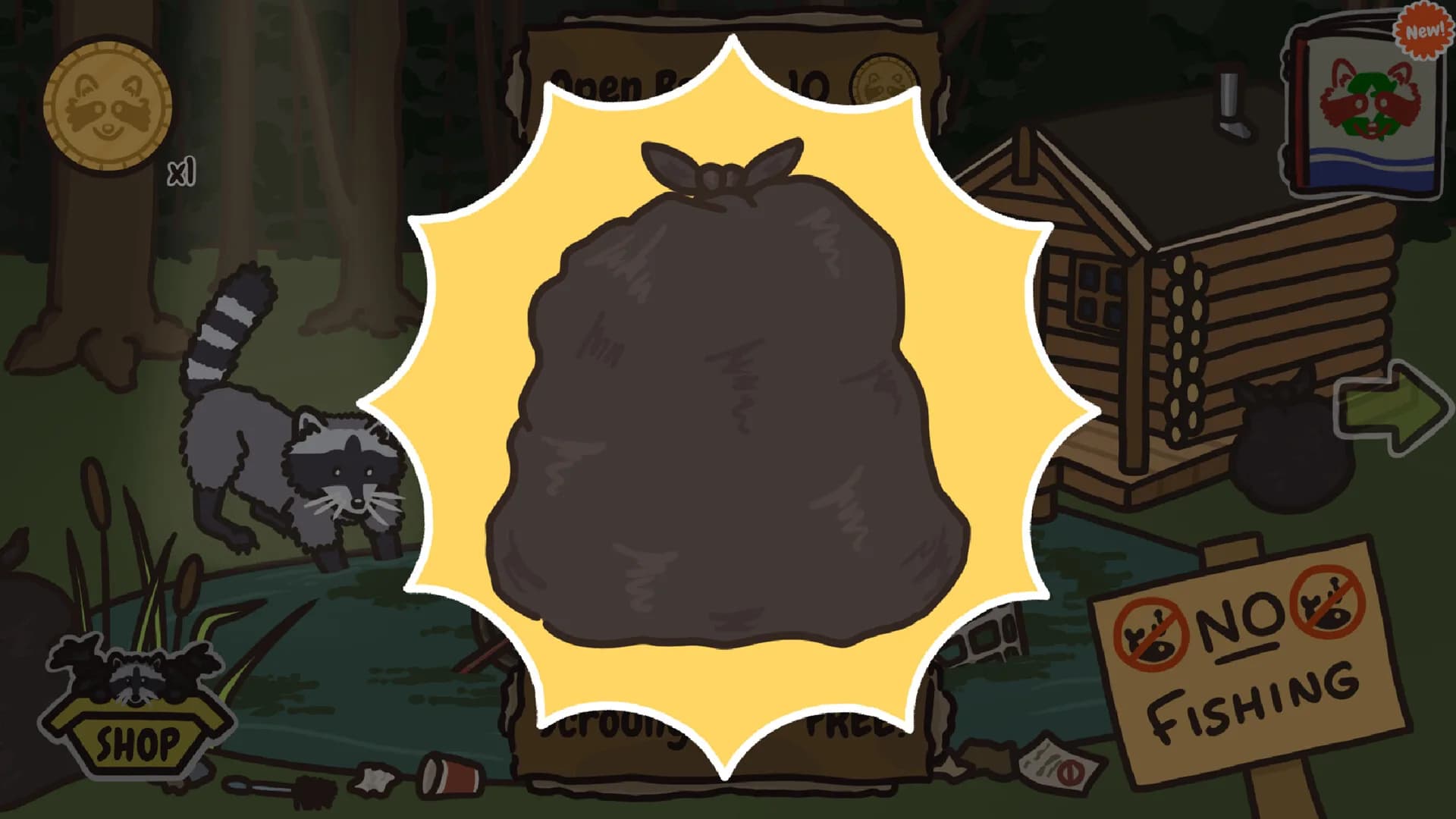 Reduce, Reuse, Raccoon görsel 3