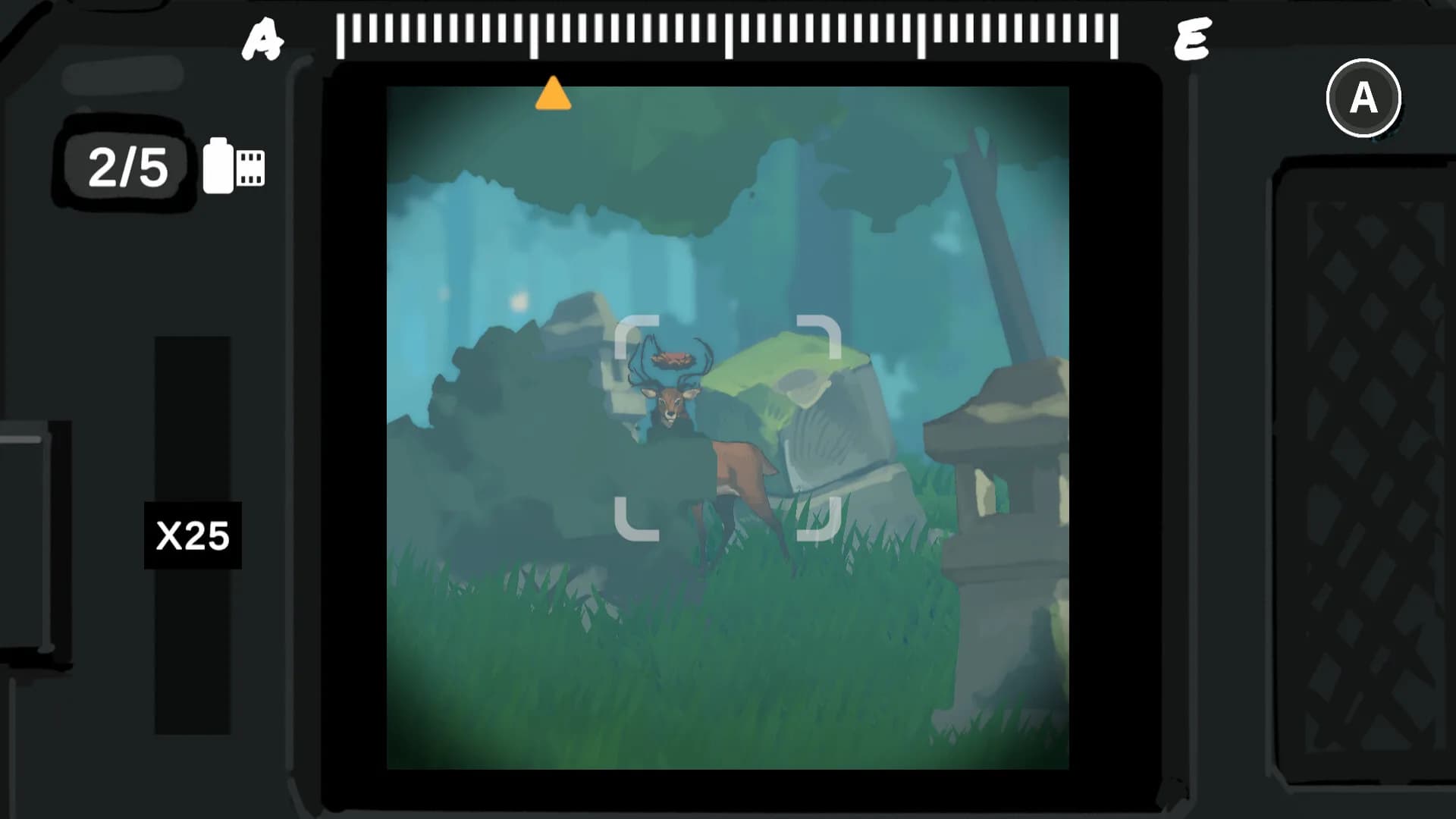 Wildframe : A Creature Scrapbook görsel 6