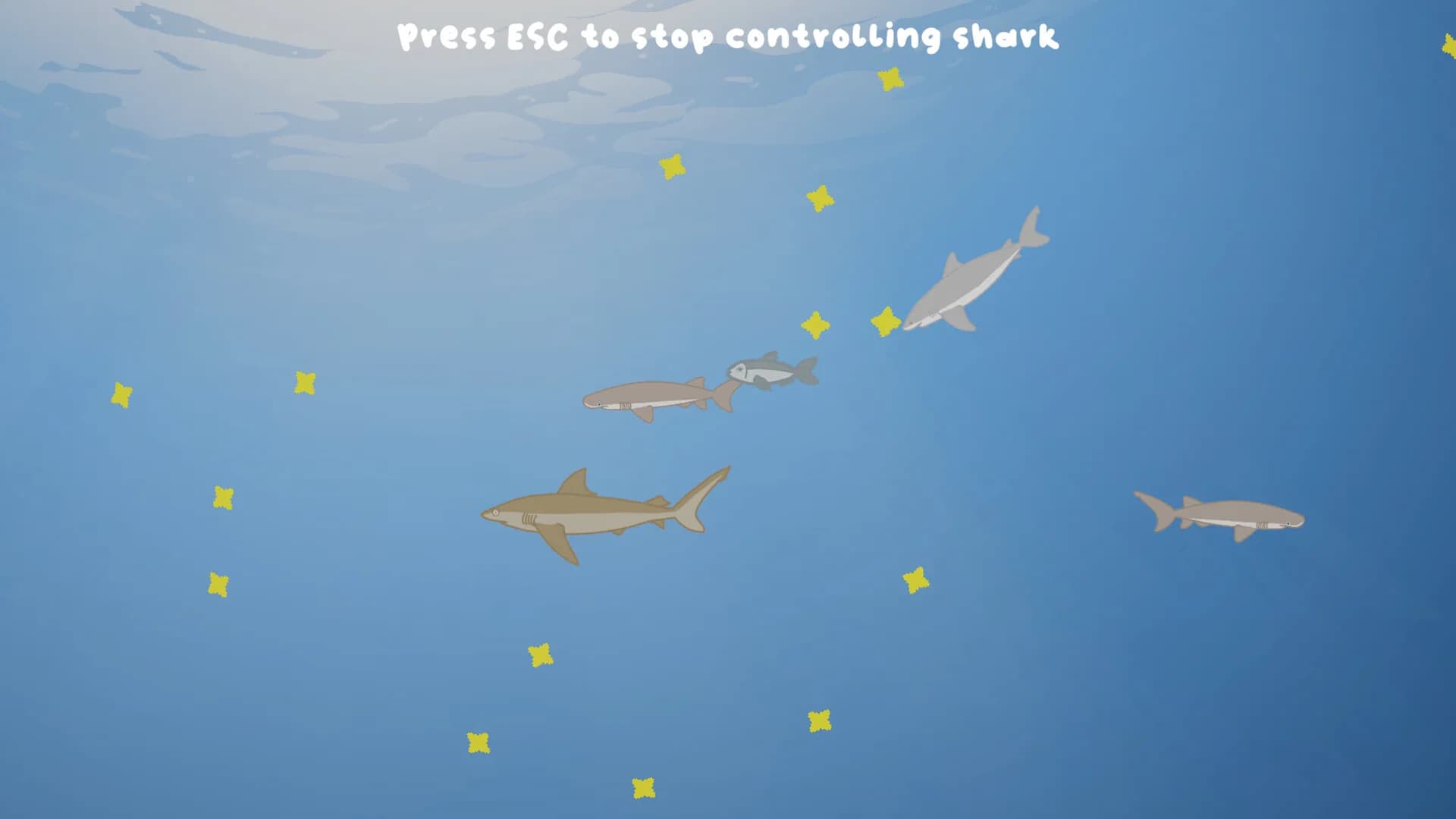 Sharkarama görsel 4