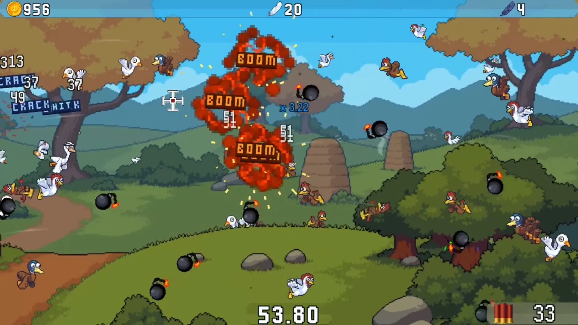 Crazy Bird Hunt görsel 2