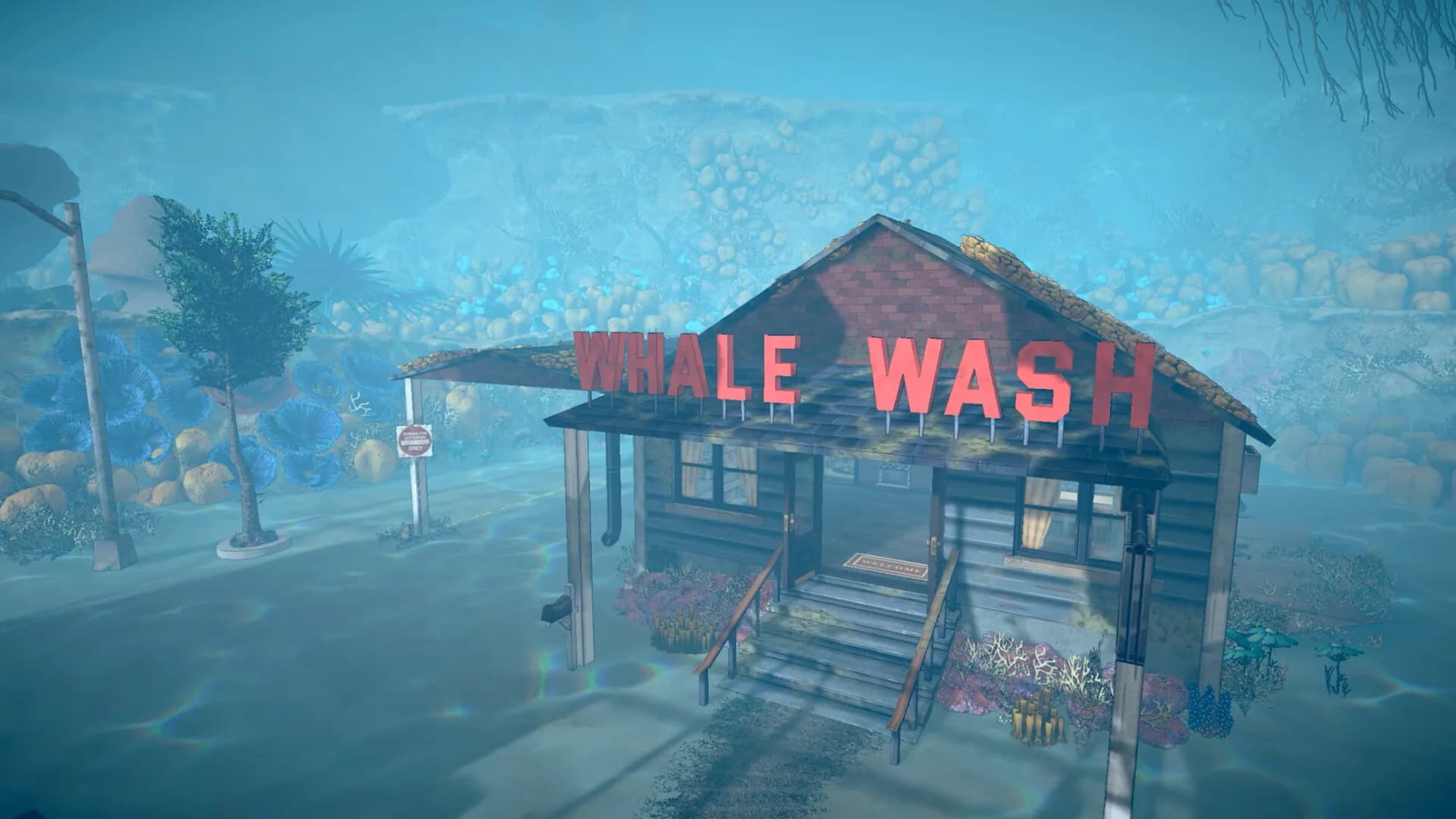 Shark Mart görsel 7