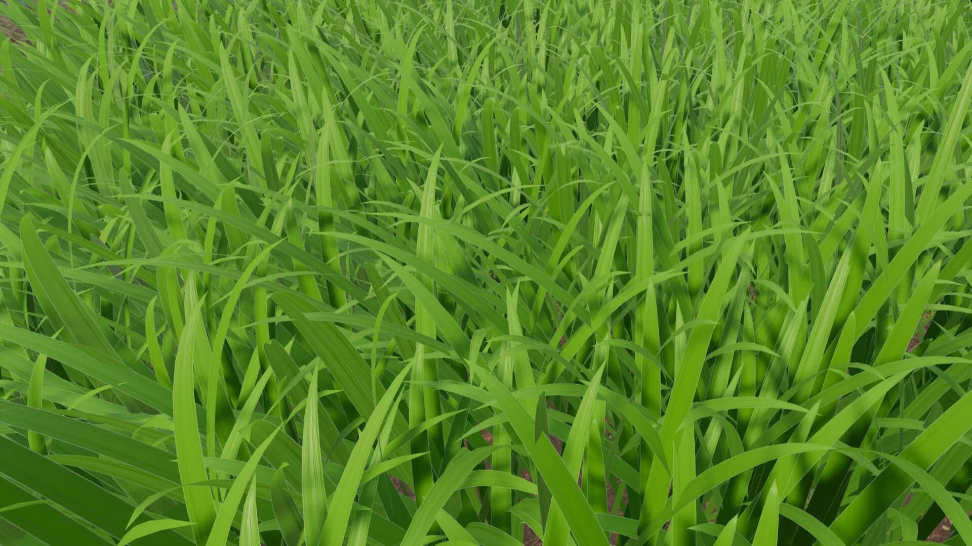 Grass Cutting Simulator görsel 6