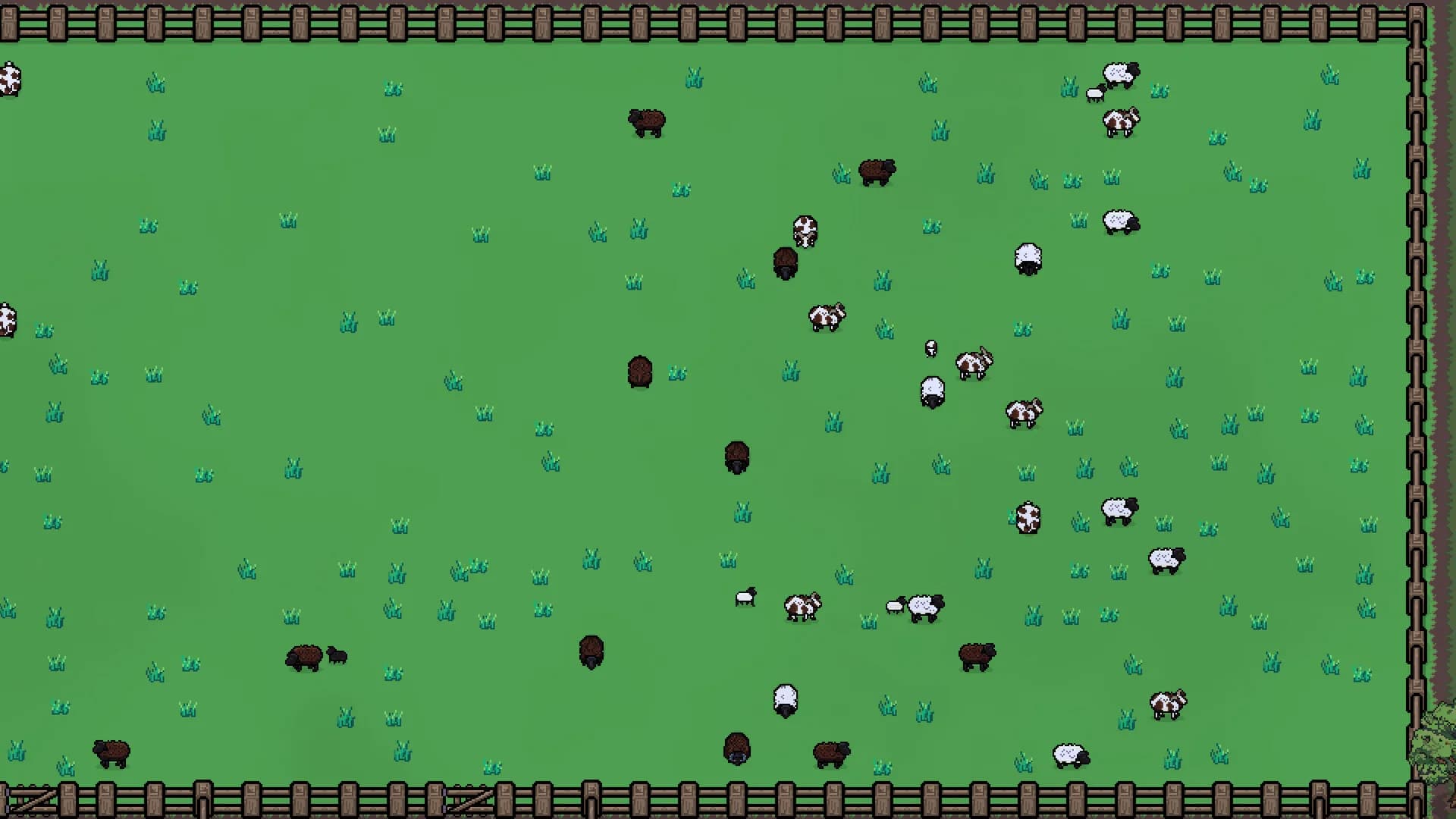 Sheepscape görsel 3