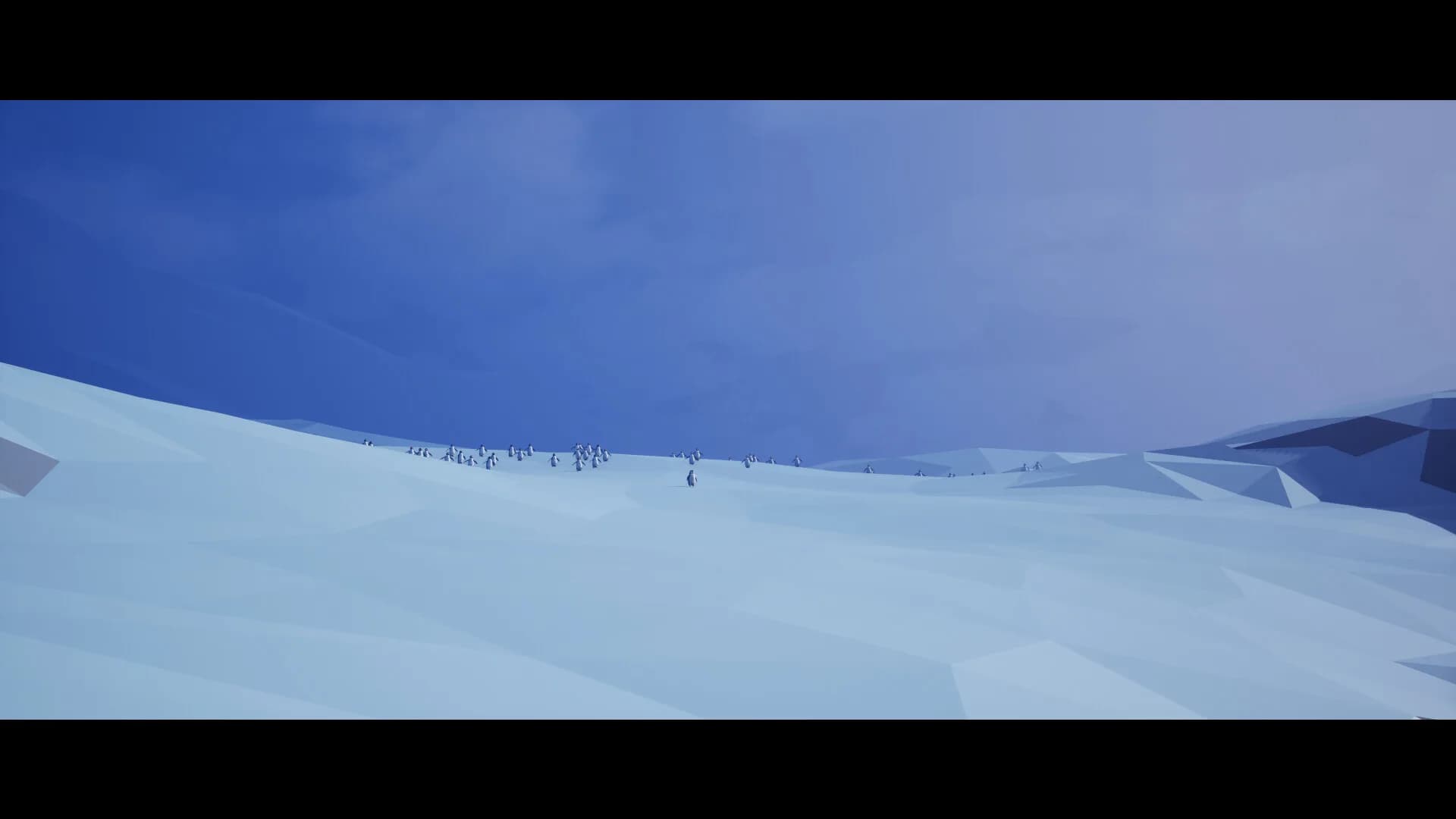 Penguin, but why? görsel 6