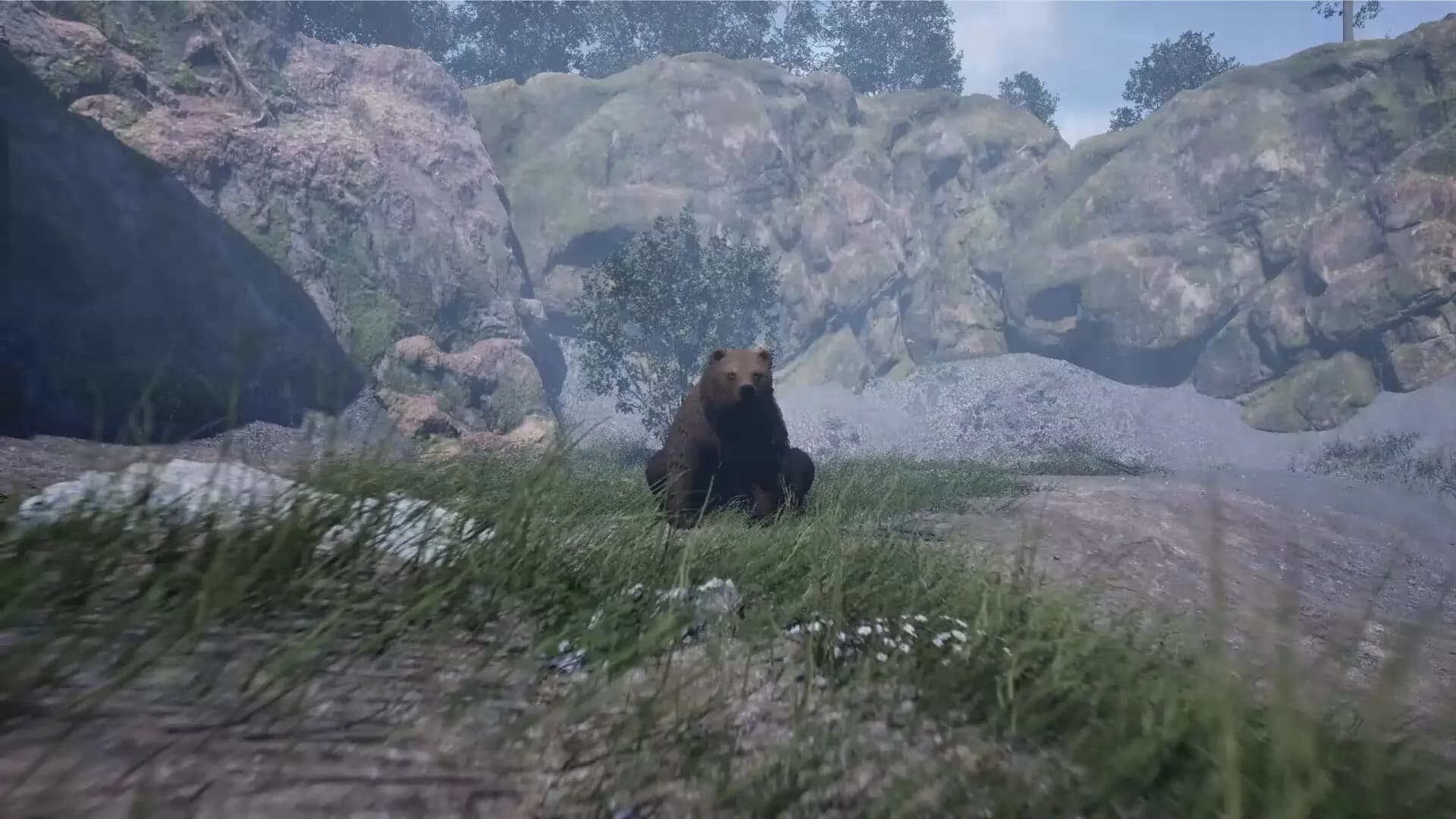 Wojtek: A Soldier Without a Uniform görsel 4