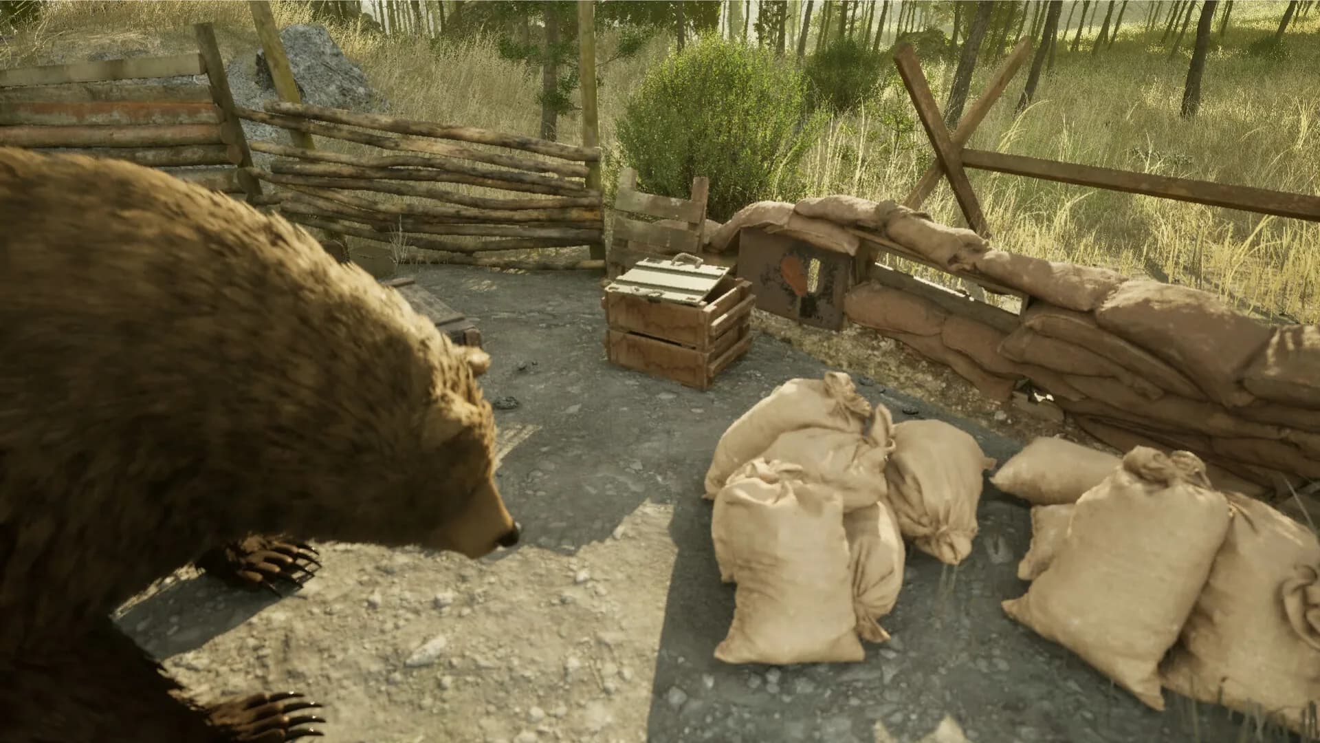 Wojtek: A Soldier Without a Uniform görsel 5