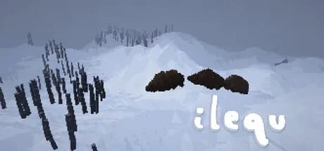 Ilequ görsel 1