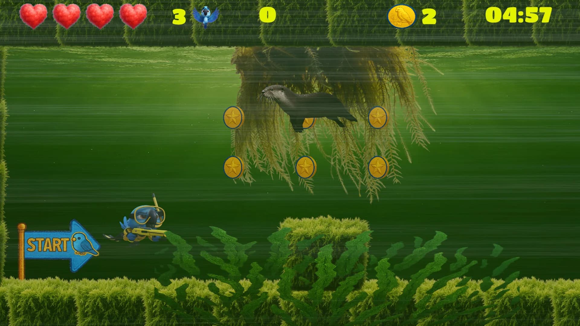 Paraquito görsel 7