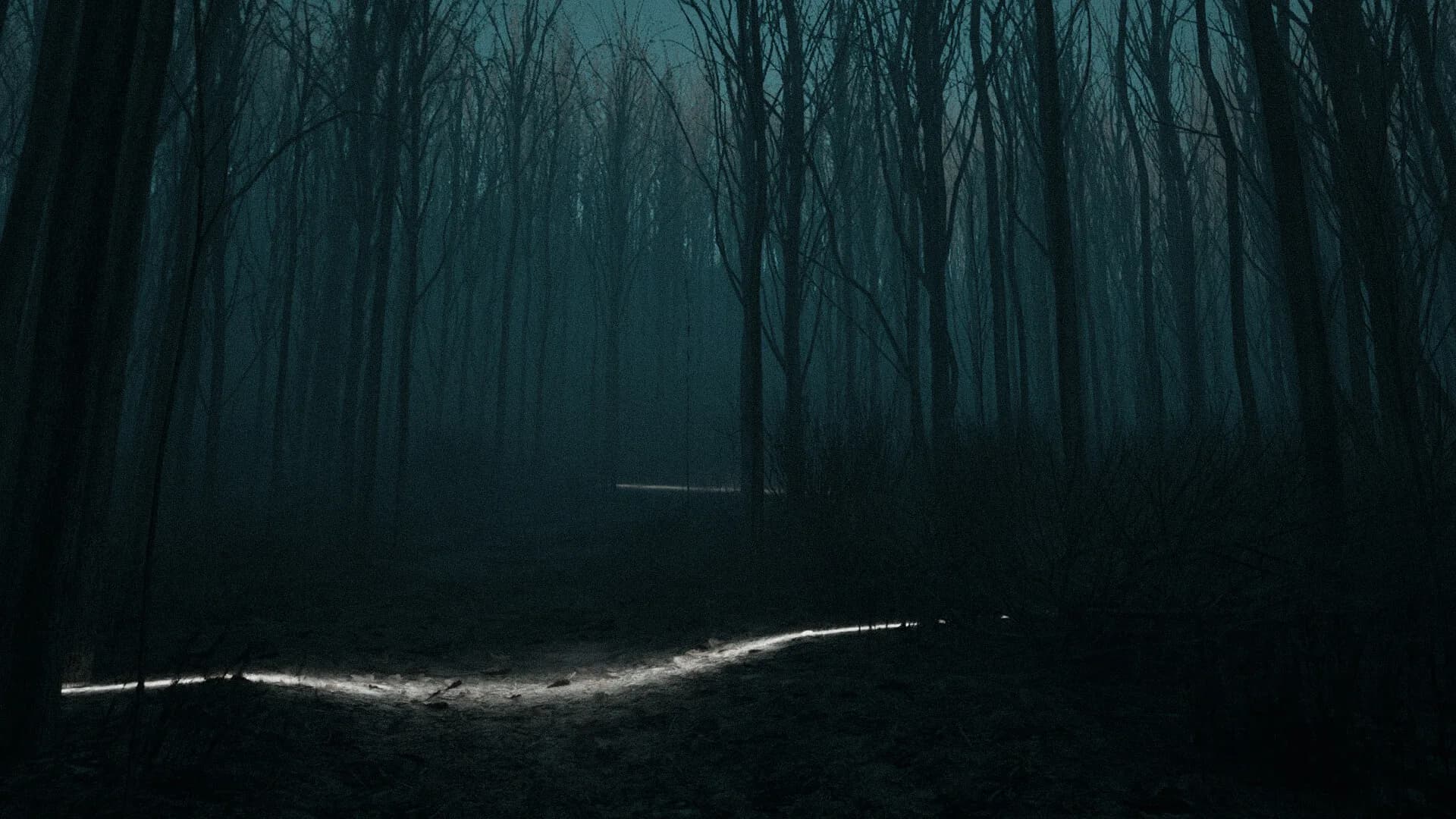 After All Is Abraded: A Study on Disappearing Completely görsel 4