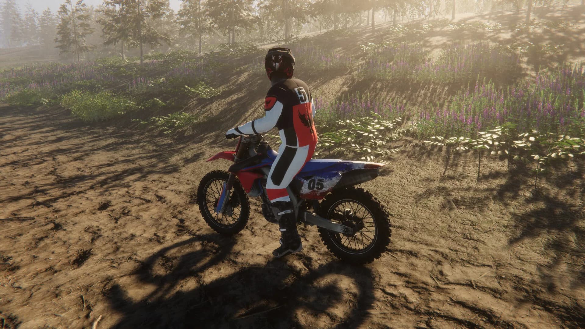 Enduro Unleashed görsel 5