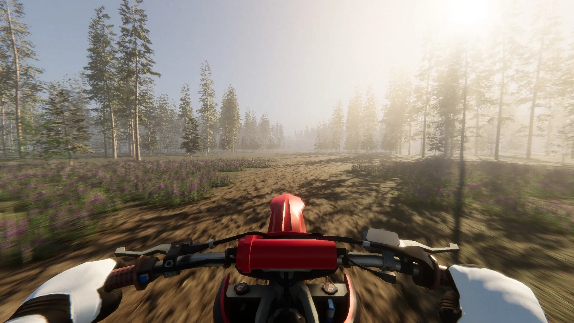 Enduro Unleashed görsel 7