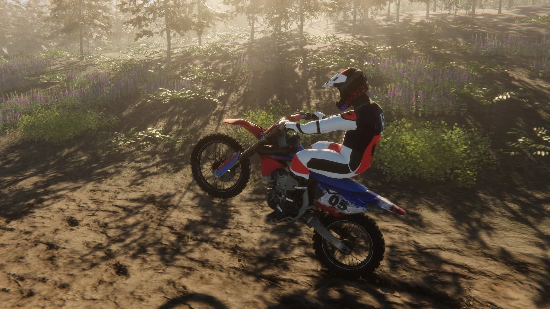 Enduro Unleashed görsel 8