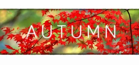 Autumn görsel 1