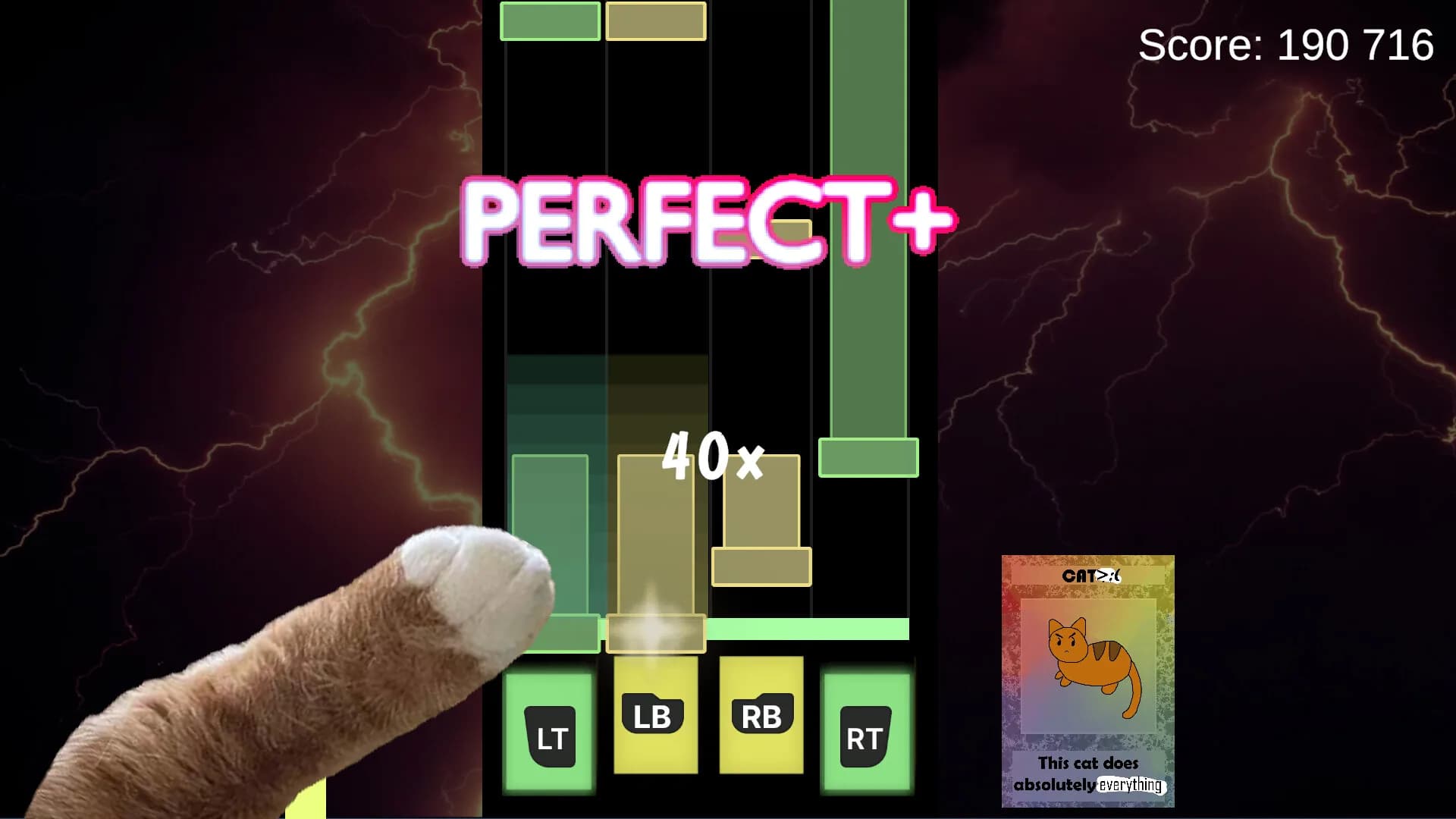 Tempo Tabbies görsel 6