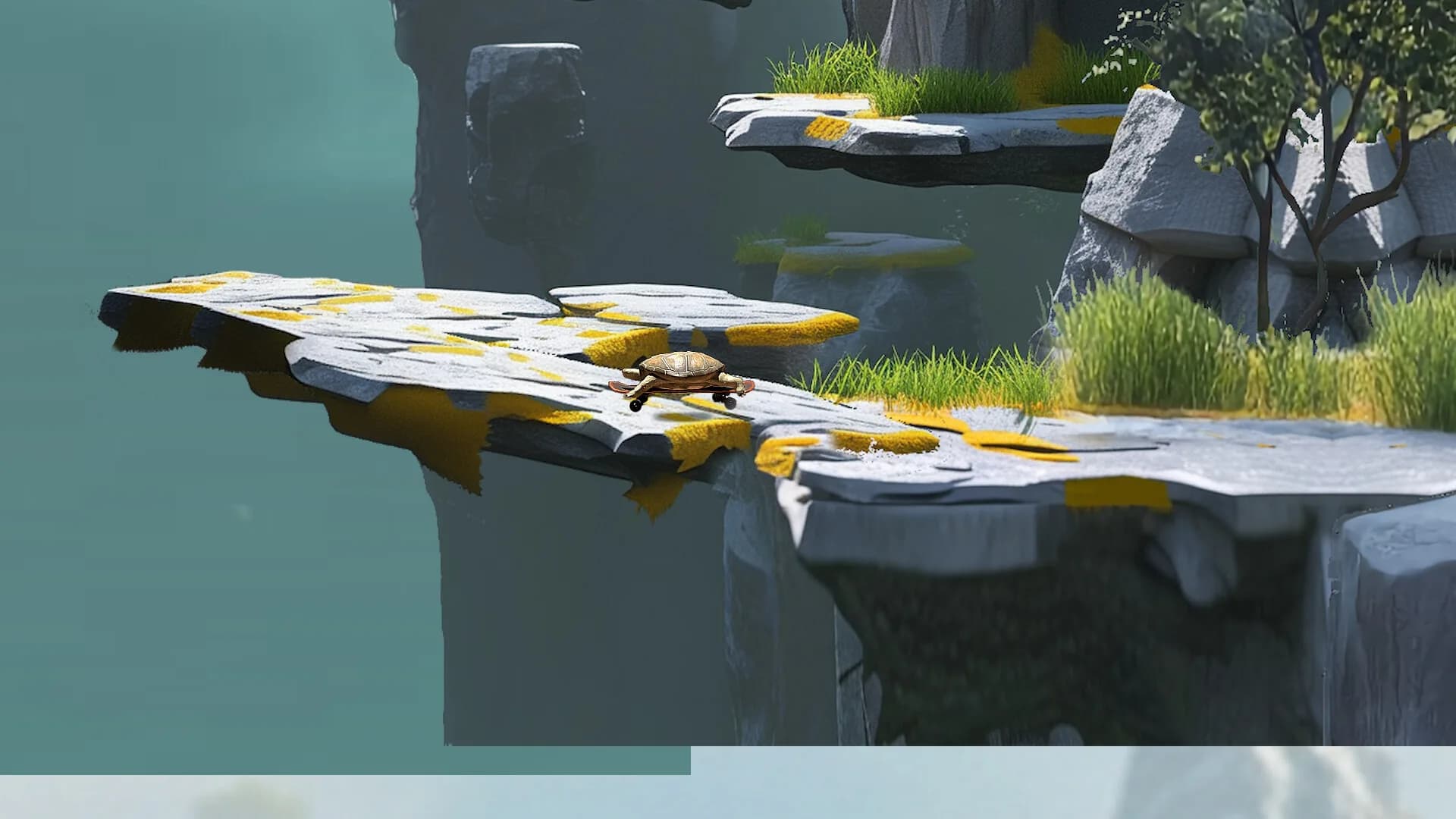 Turtle Up görsel 6