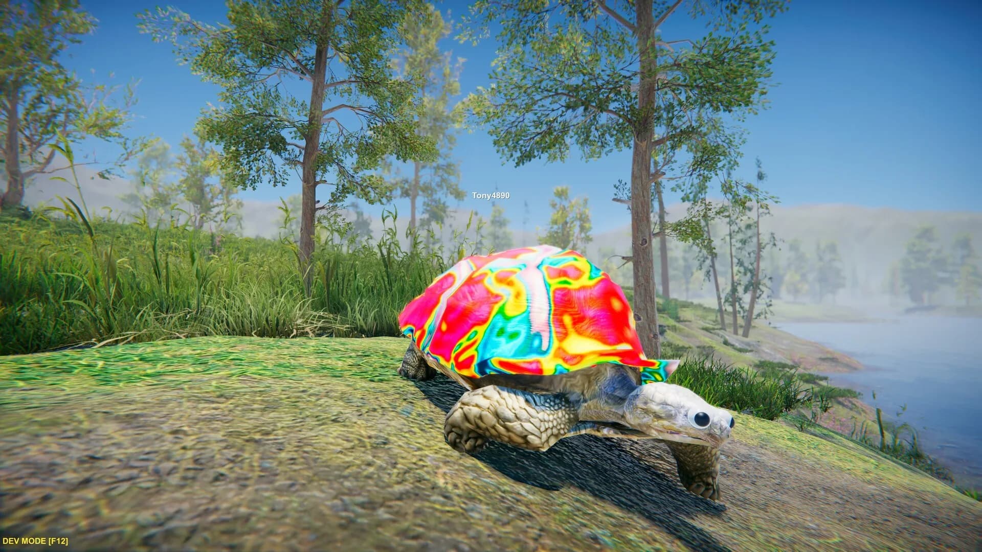 Turtles on Crocodiles görsel 3