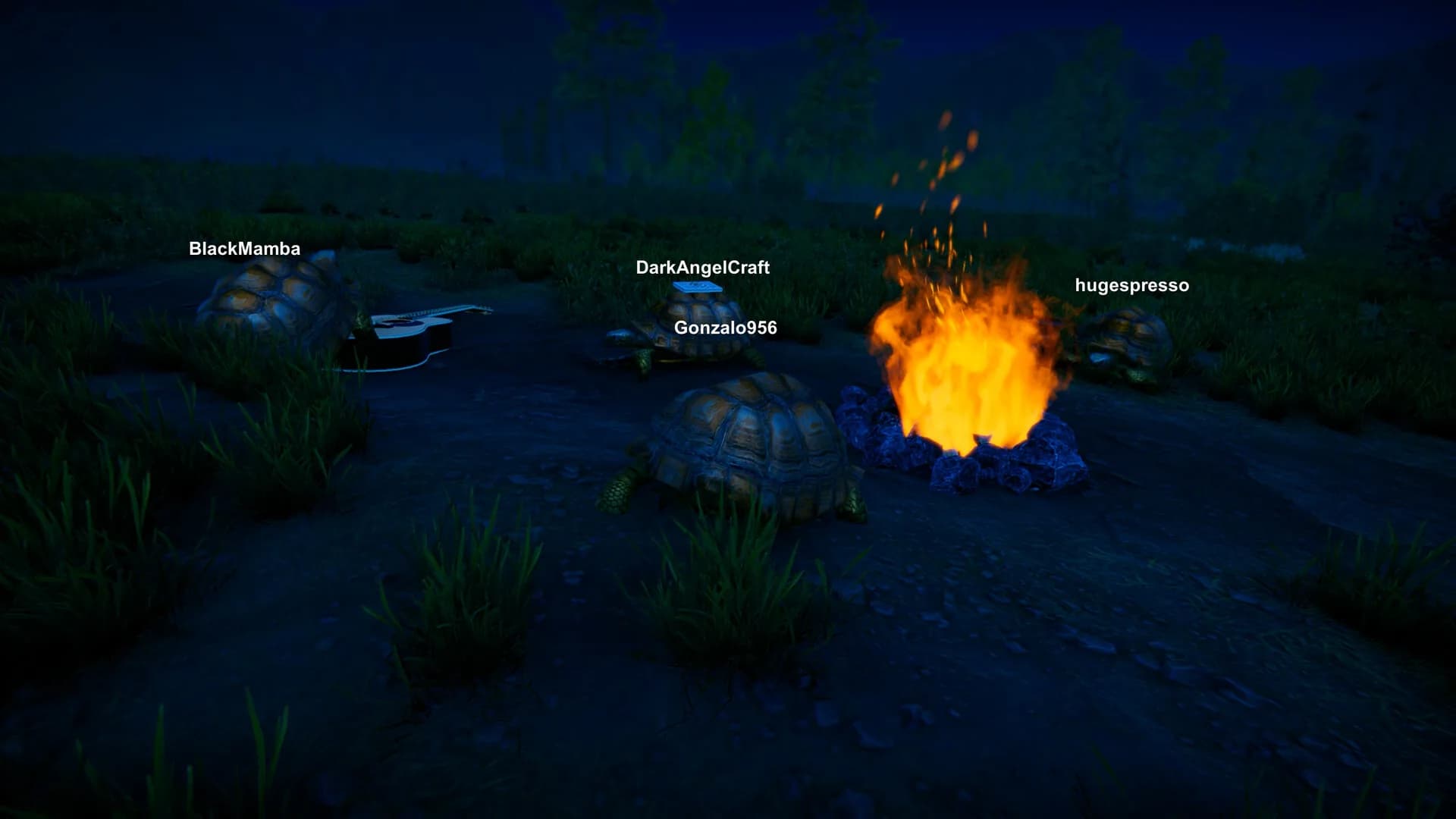Turtles on Crocodiles görsel 5