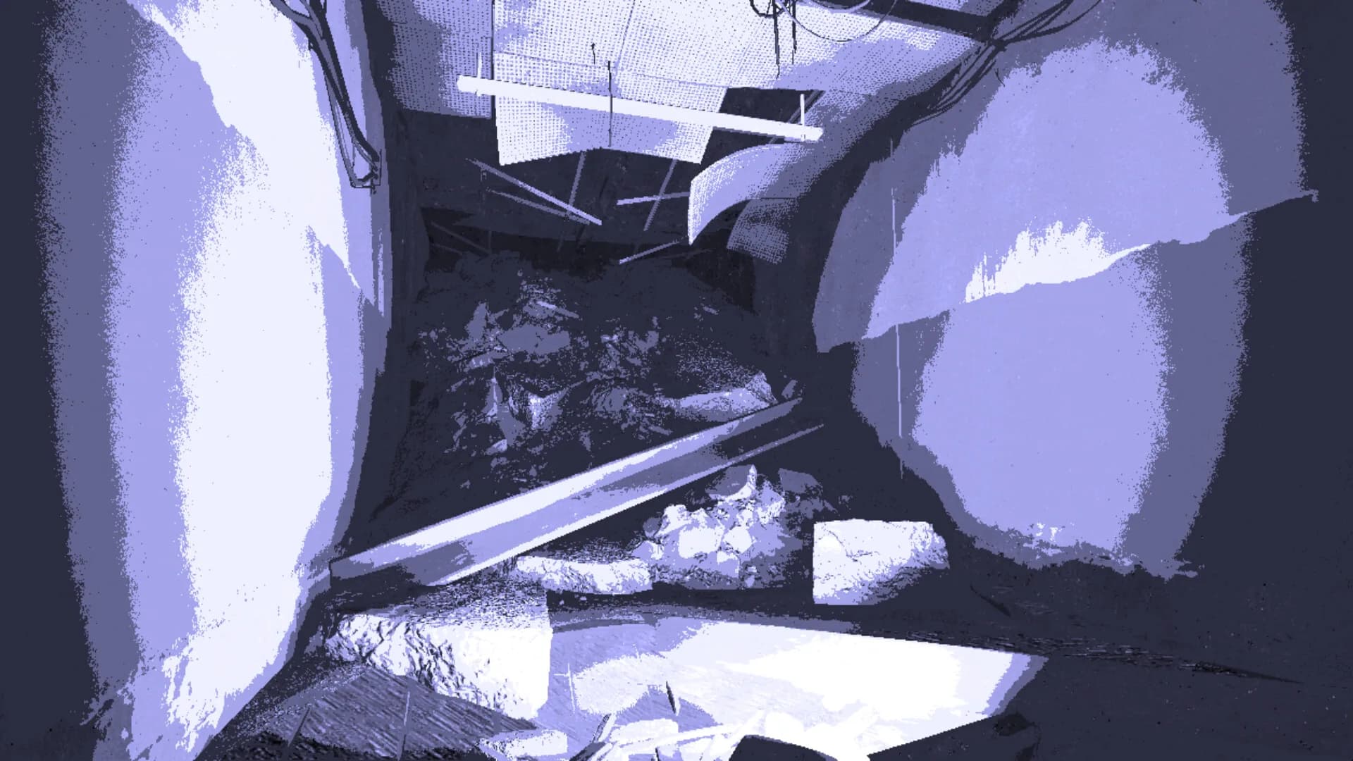 Shell Inside görsel 7