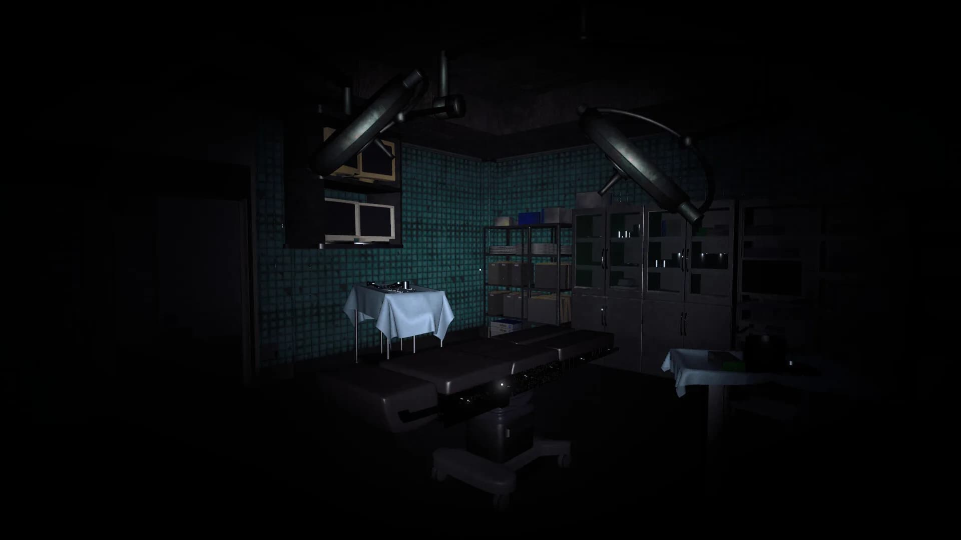 The Organ Woman | 臓器女 görsel 14