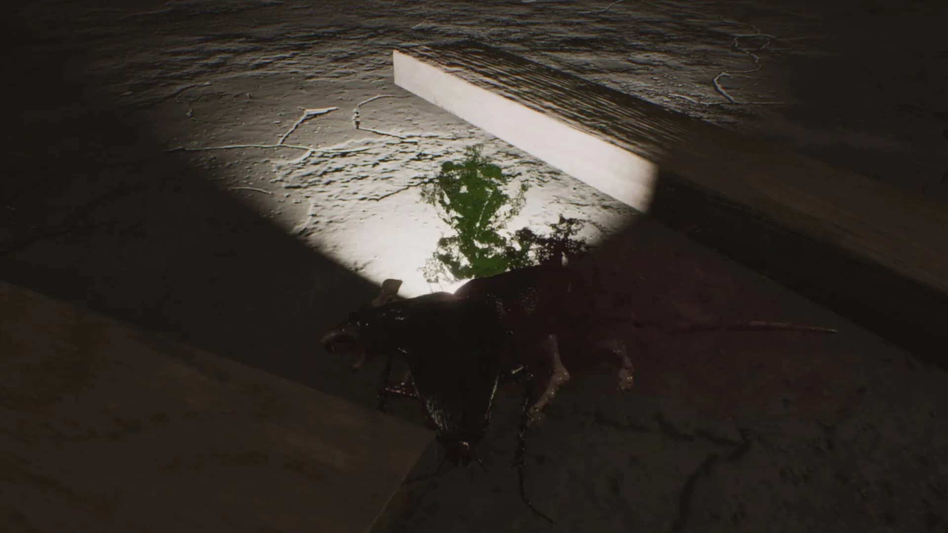 Cockroach Simulation görsel 10