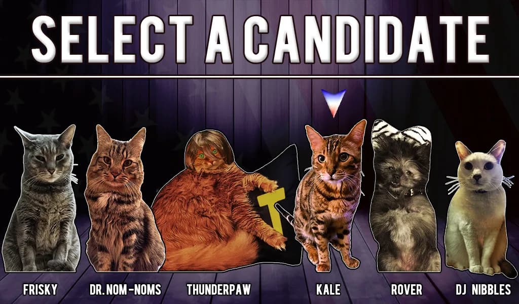 Cat President ~A More Purrfect Union~ görsel 7