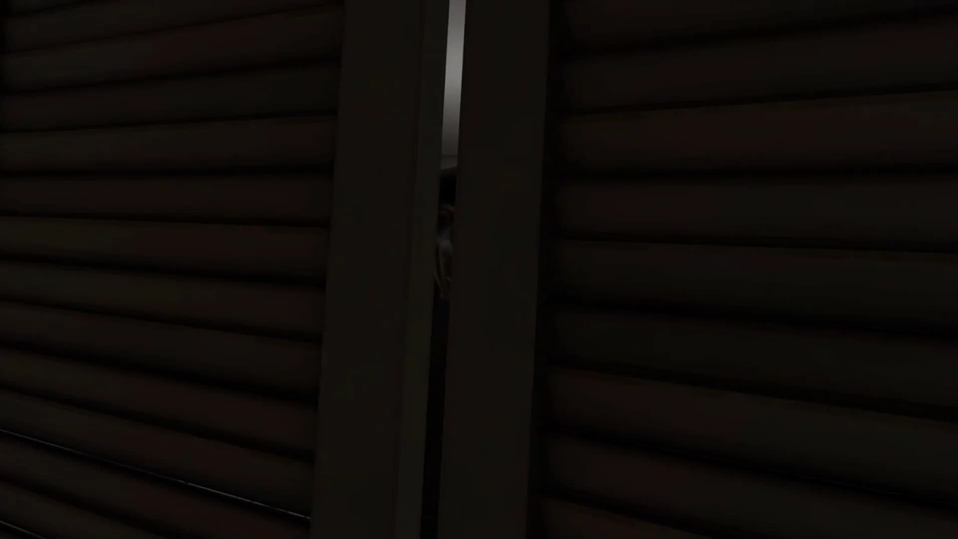 Mandela Invasion VR: Alternates görsel 3