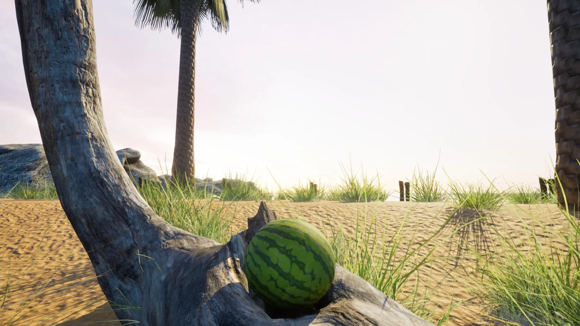 Just A Watermelon görsel 3