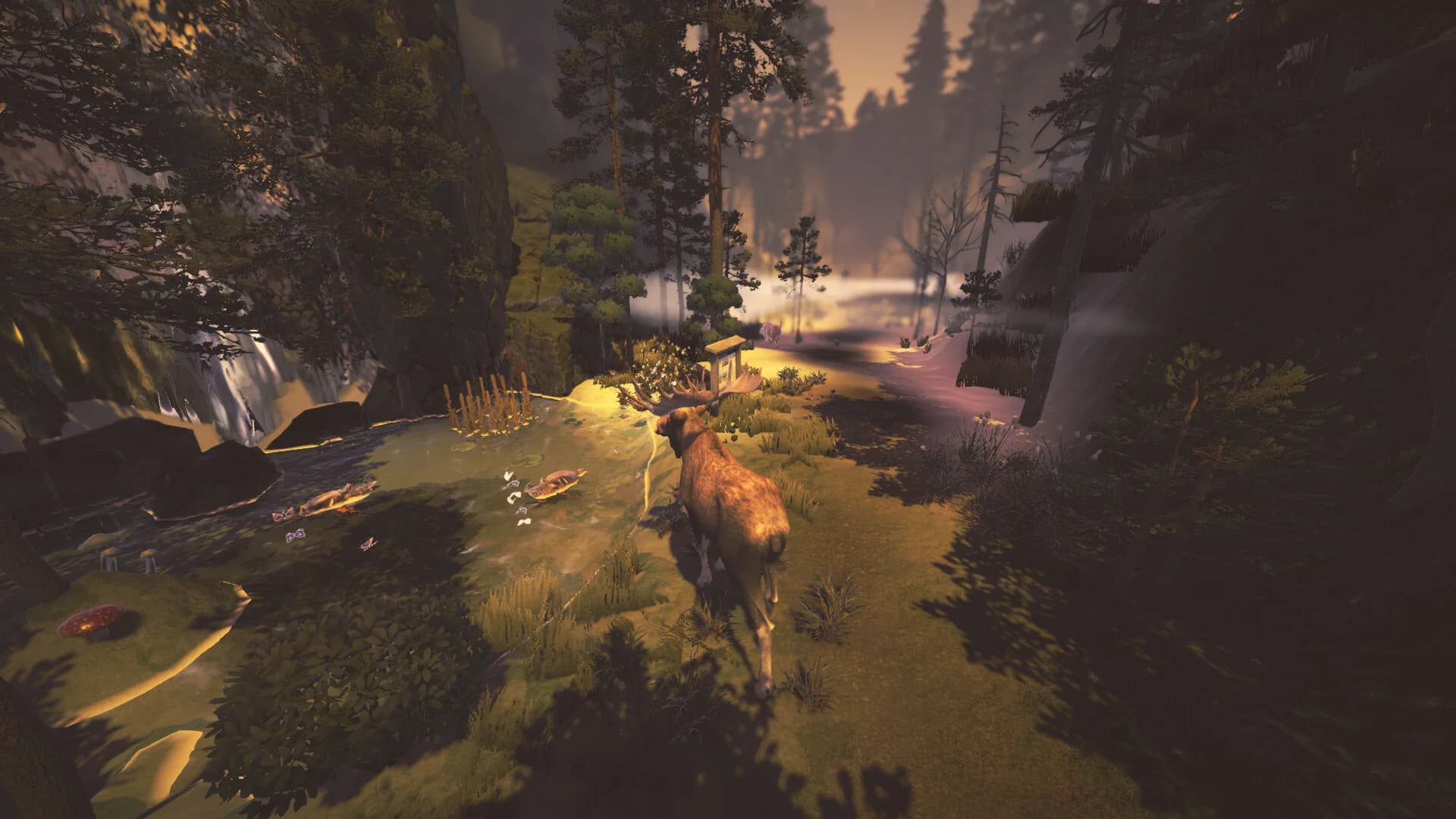 Let it Moose görsel 6