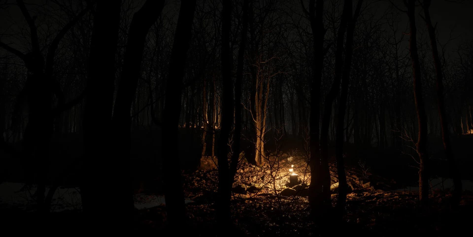 Just a stroll in the forest görsel 5