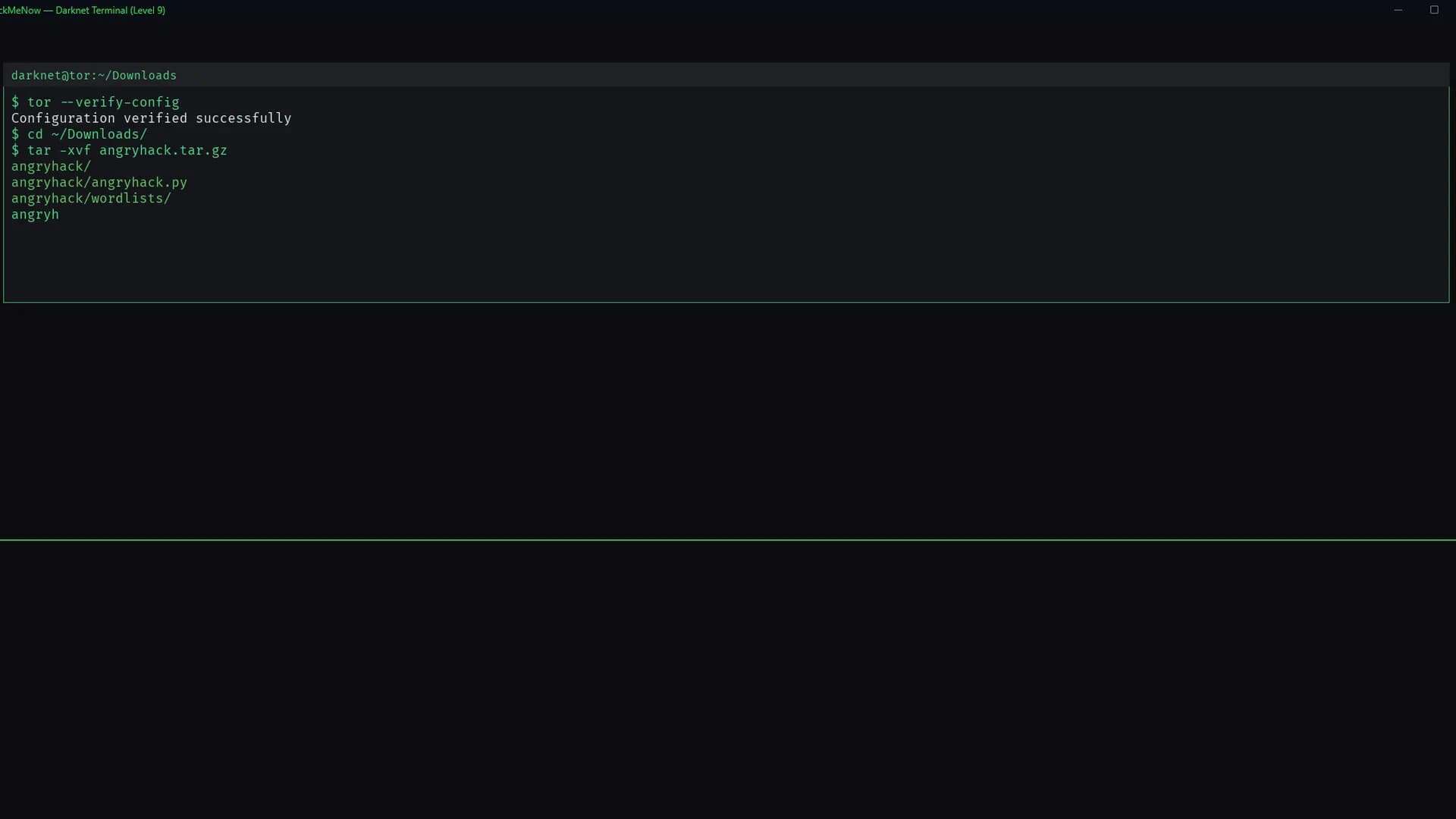 HackMeNow görsel 4