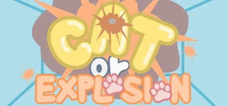 Cat Or Explosion görsel 1