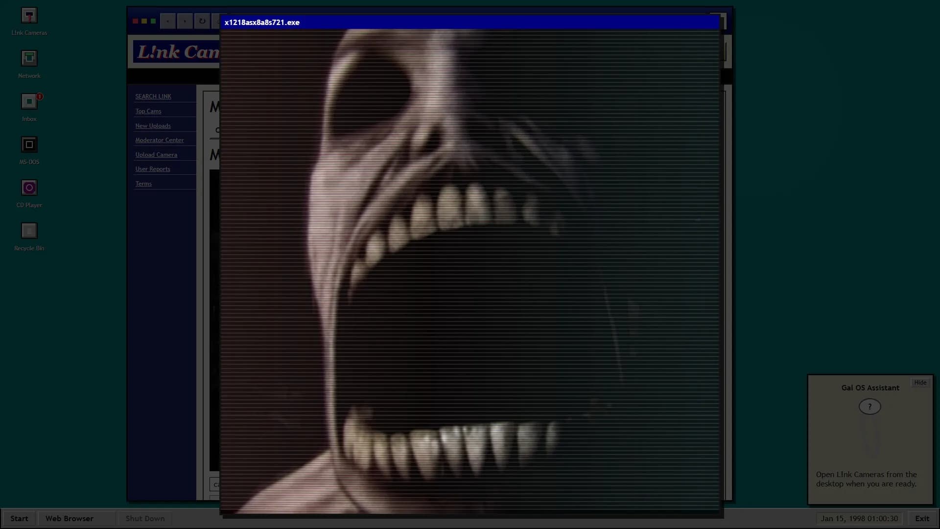 Link Cameras görsel 10