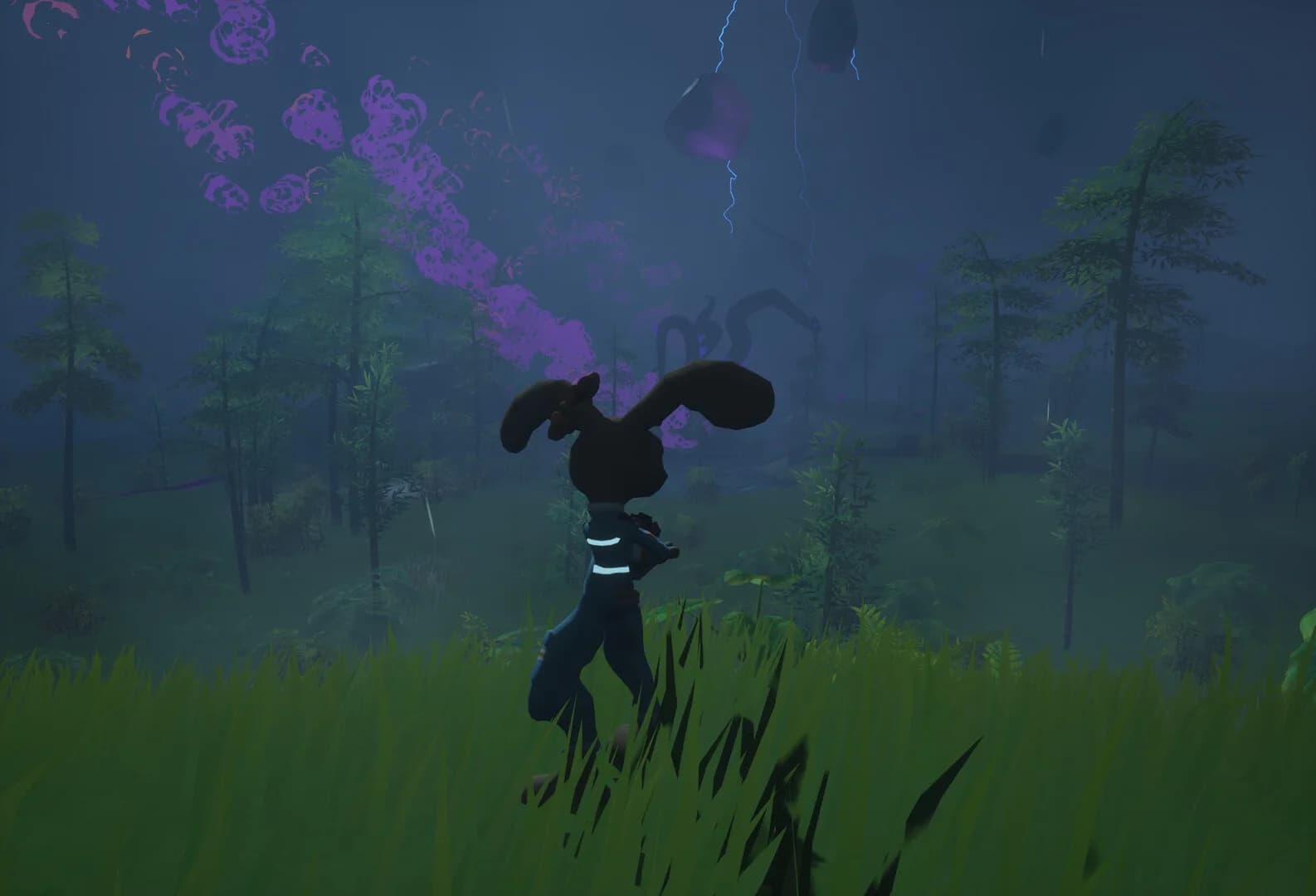 CottonTail görsel 8