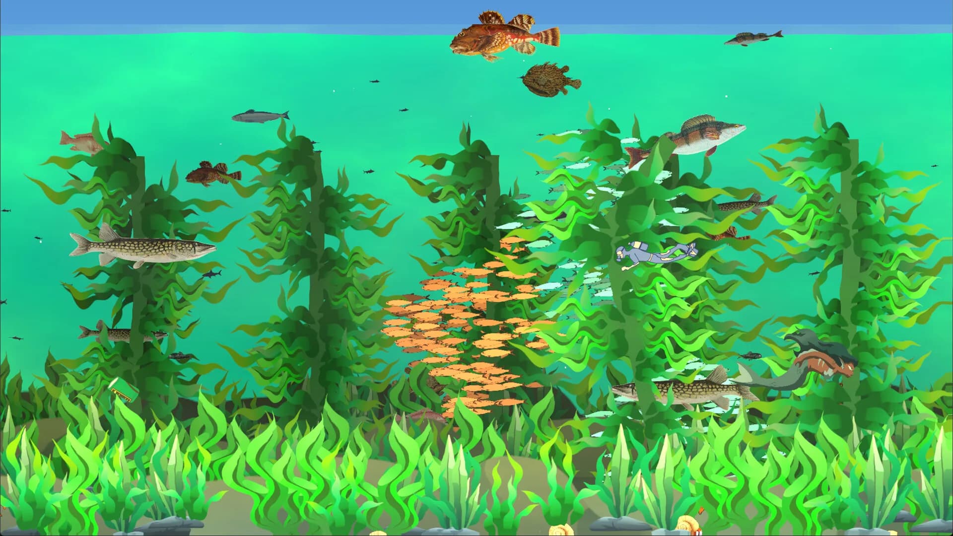Fishtographers görsel 5