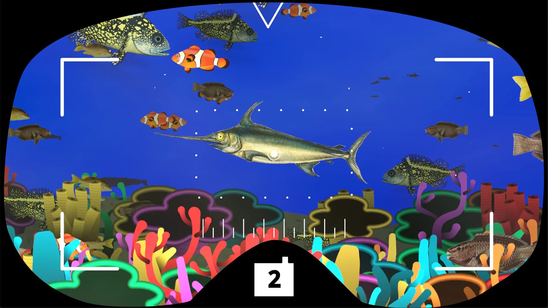 Fishtographers görsel 6