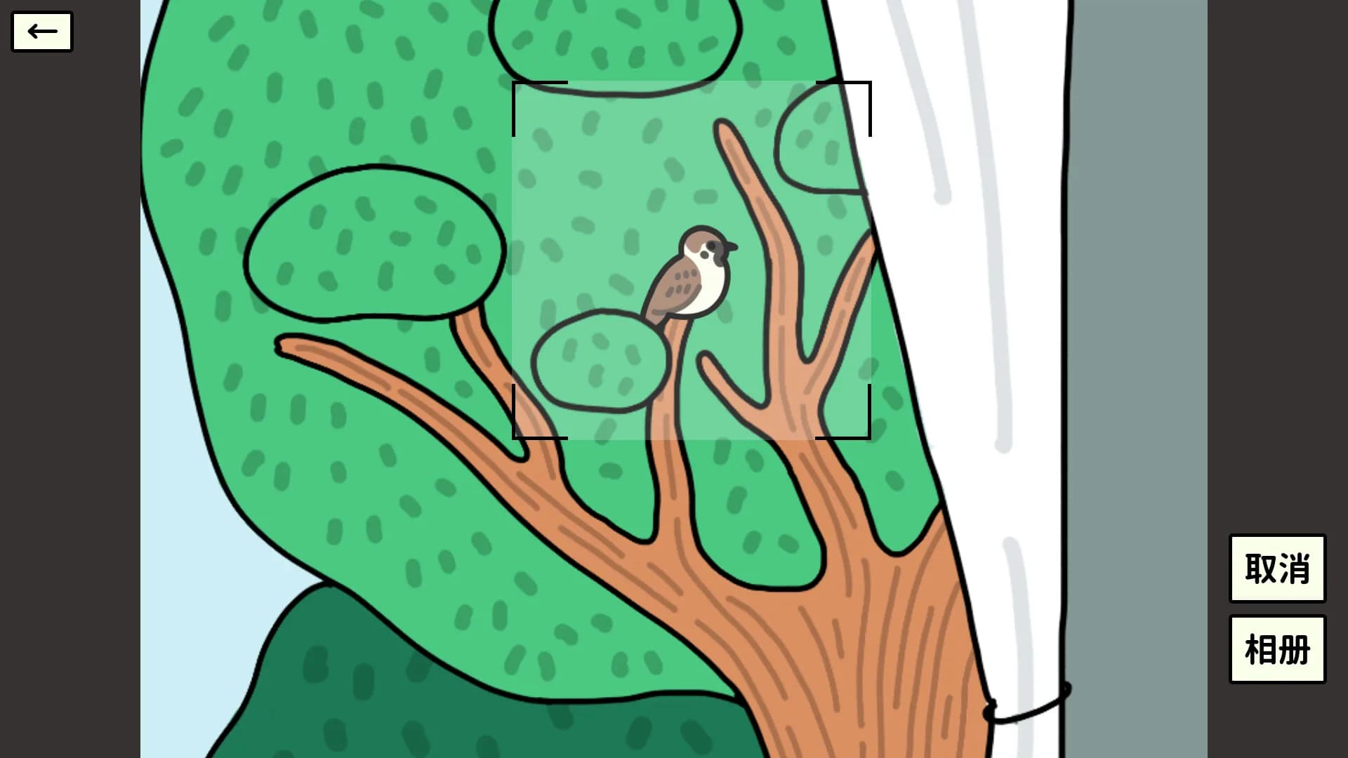Bird Sense görsel 5
