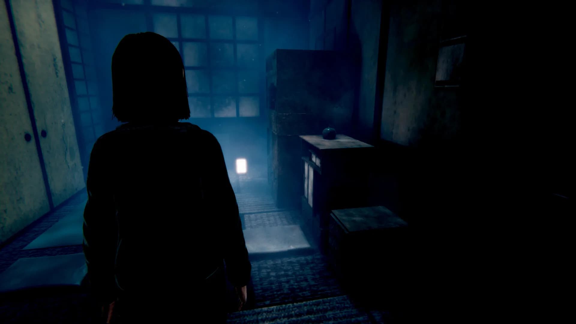 Scare: Fatal Picture - Remake görsel 11