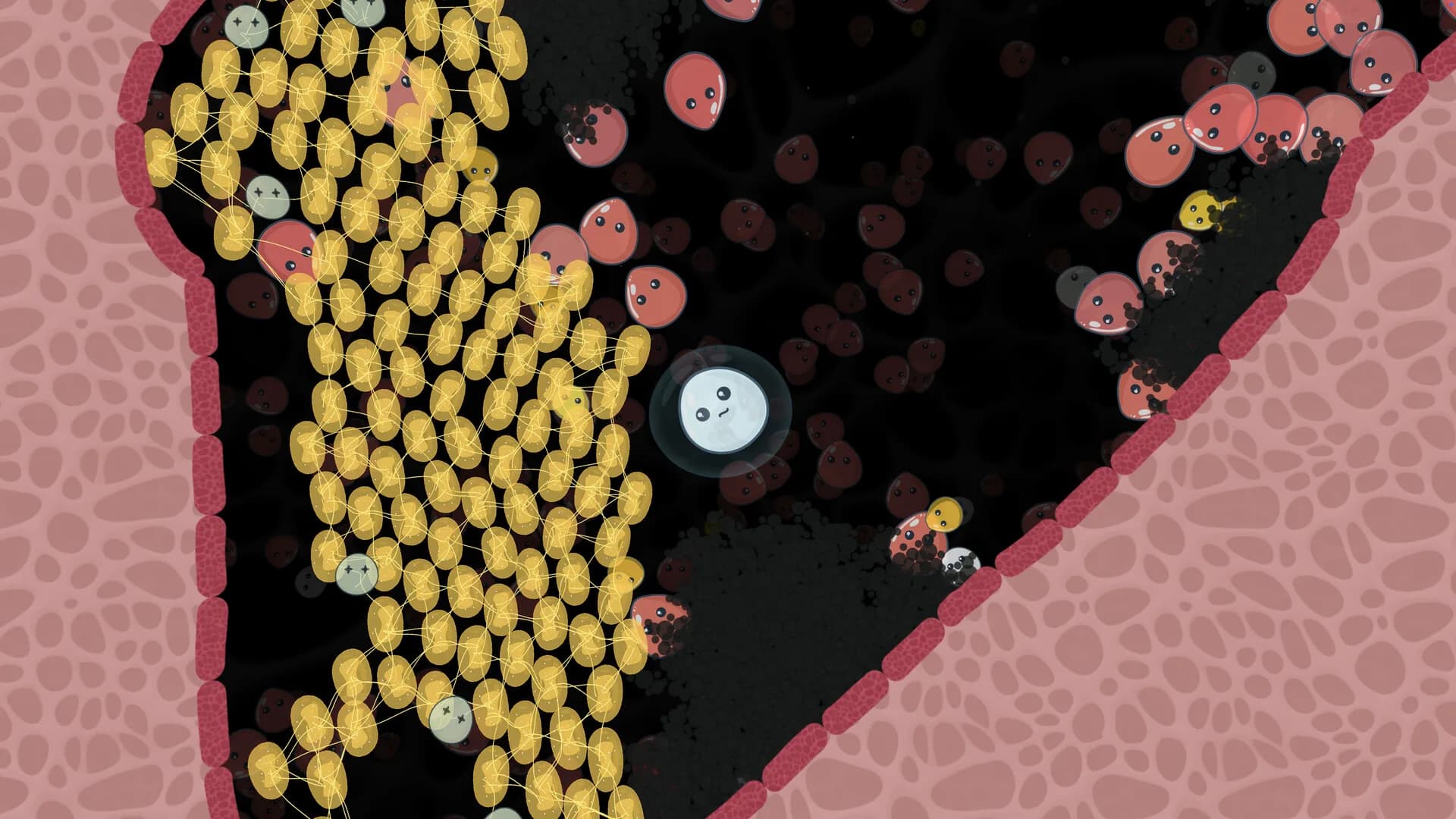 Leukocyte görsel 4