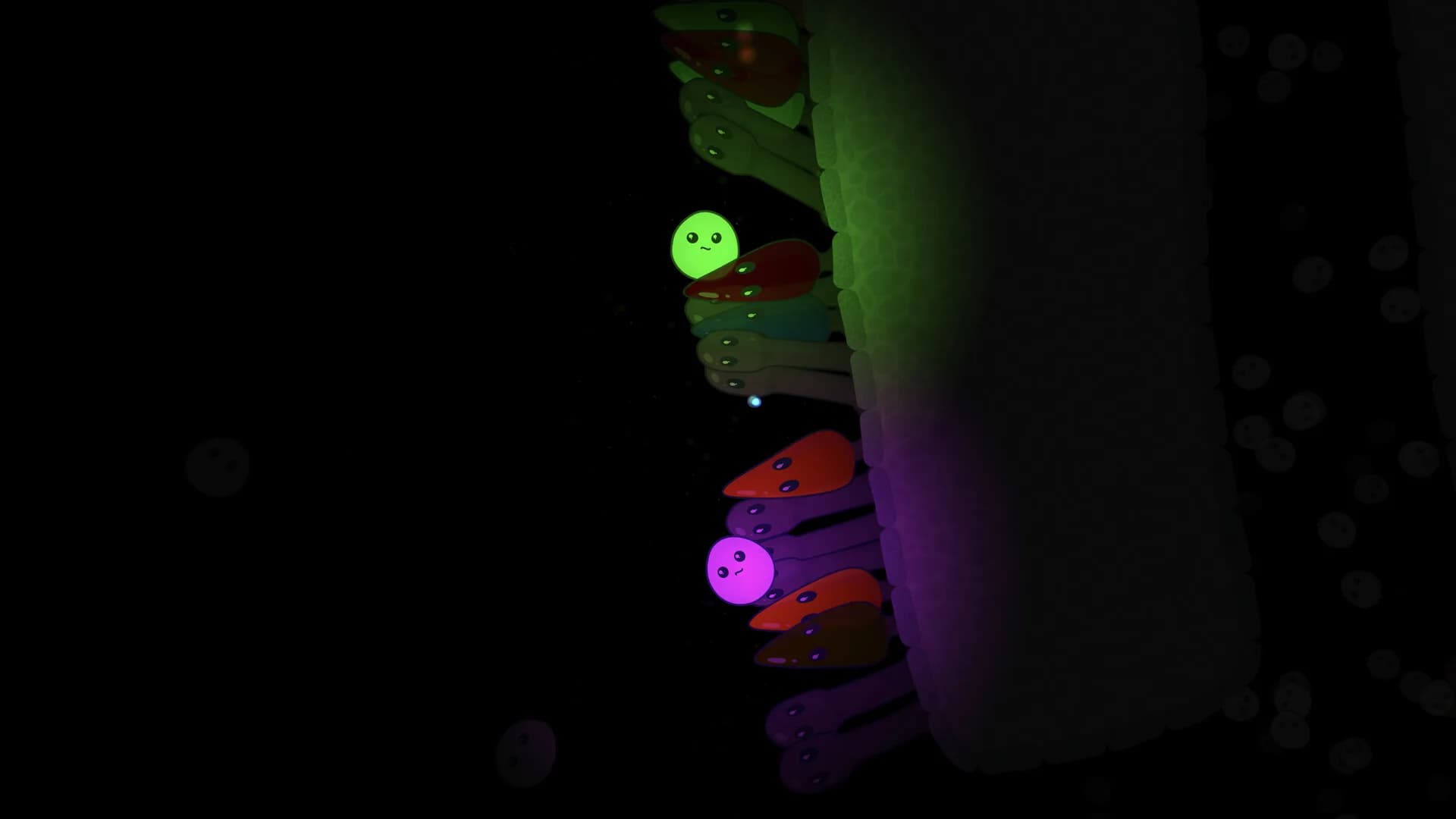 Leukocyte görsel 5